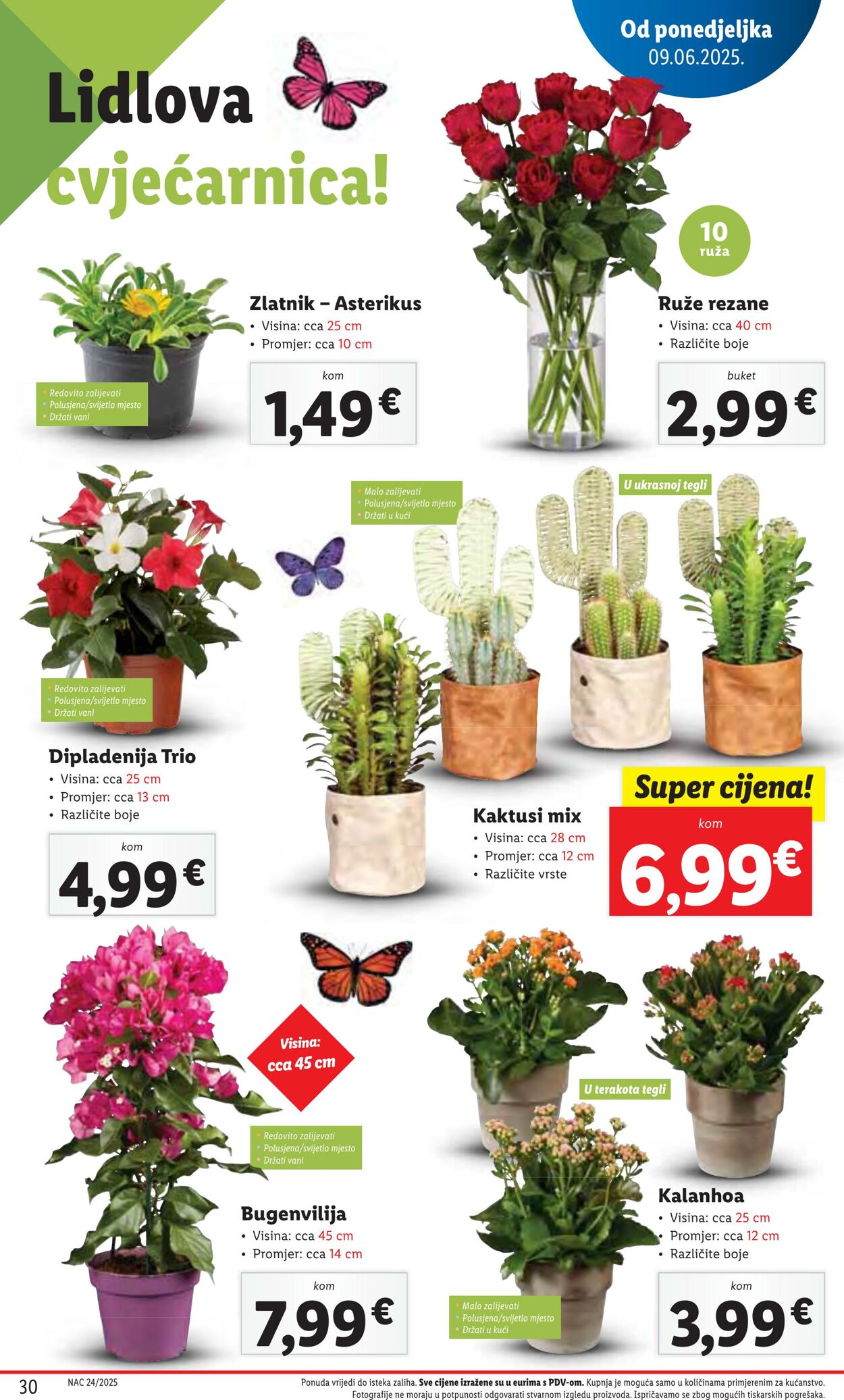 Katalog Lidl 13.06.2025 - 27.06.2025