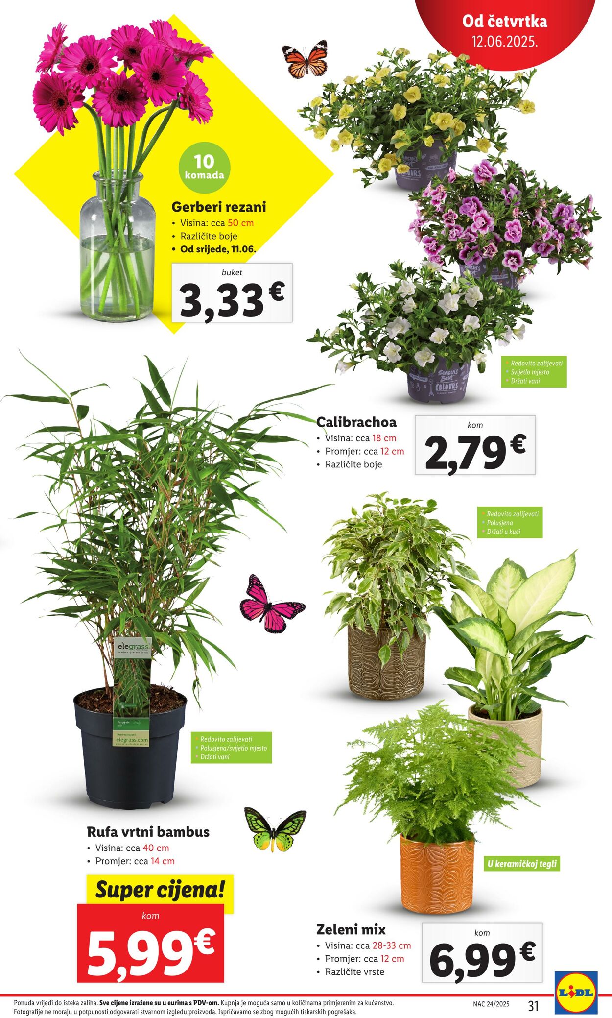 Katalog Lidl 13.06.2025 - 27.06.2025