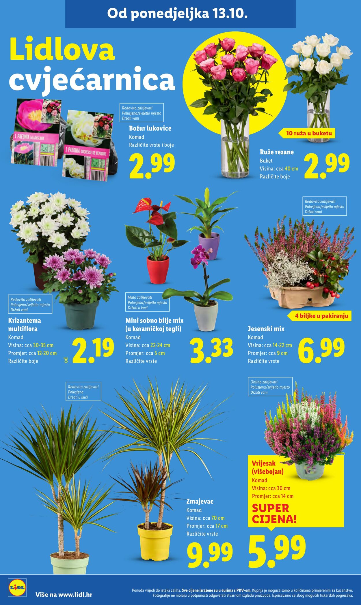 Katalog Lidl 09.10.2025 - 23.10.2025