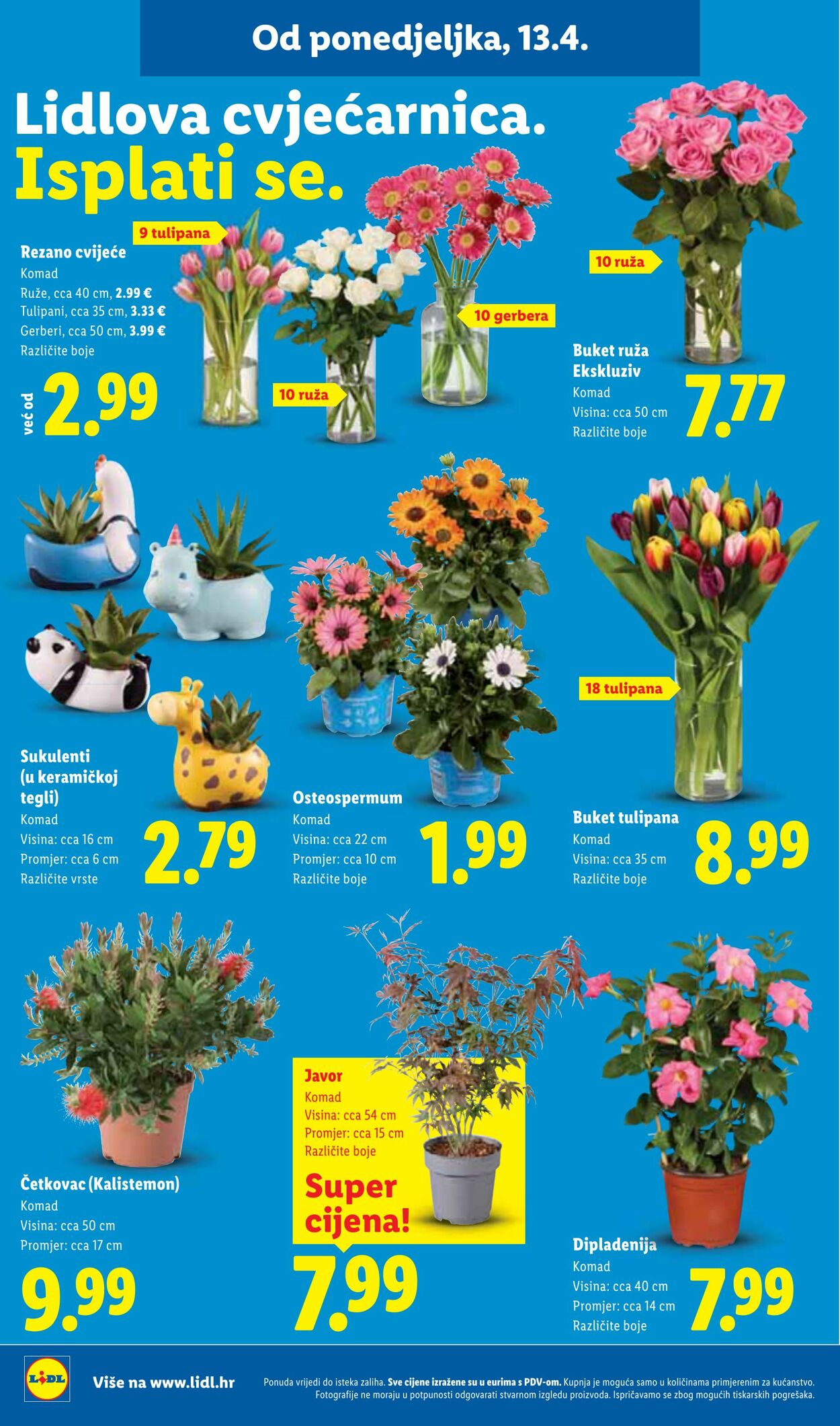 Katalog Lidl 09.04.2026 - 17.04.2026