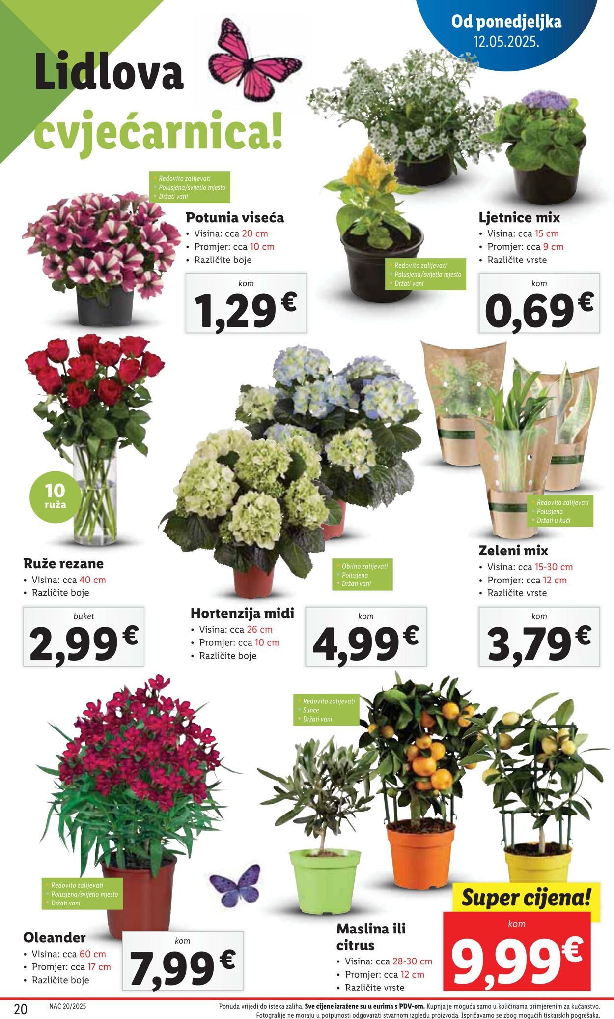Katalog Lidl 18.05.2025 - 01.06.2025