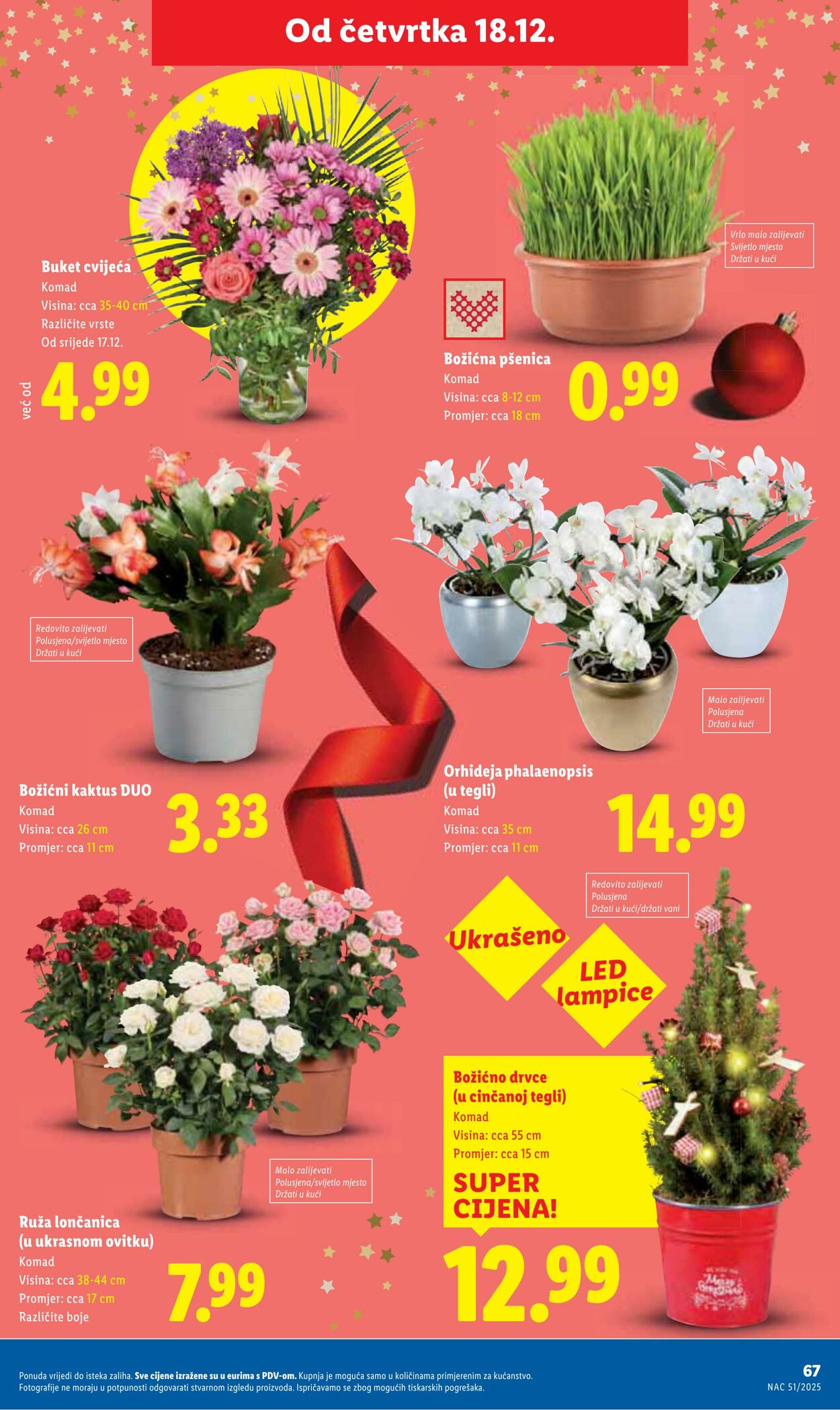 Katalog Lidl 17.12.2025 - 31.12.2025