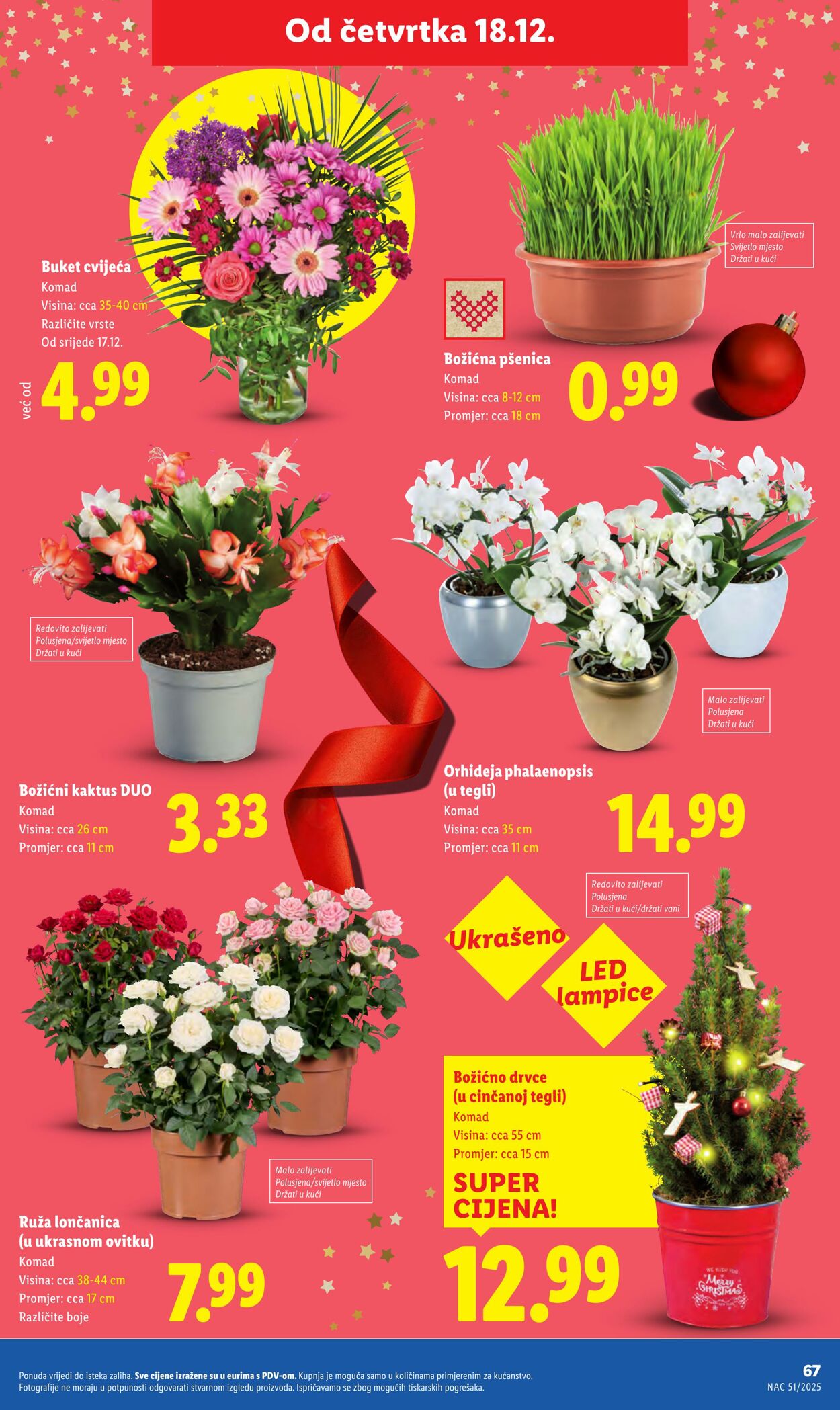 Katalog Lidl 18.12.2025 - 01.01.2026