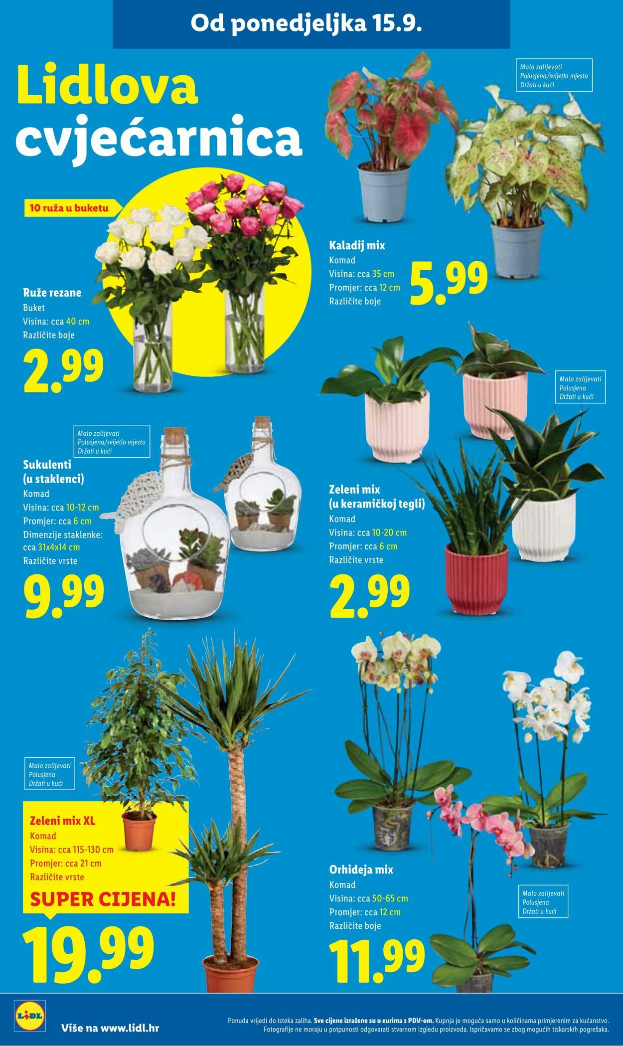 Katalog Lidl 15.09.2025 - 29.09.2025