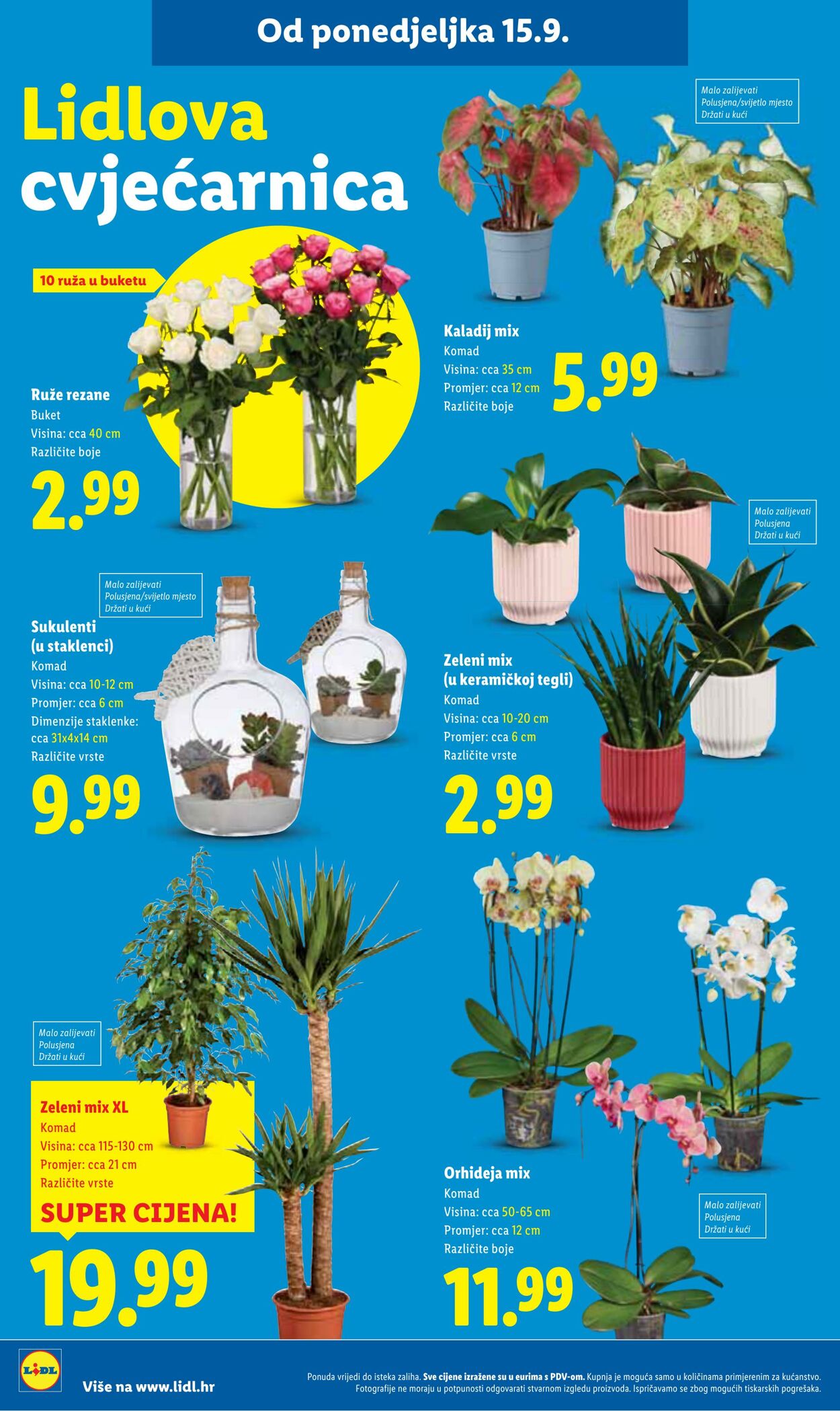 Katalog Lidl 11.09.2025 - 25.09.2025
