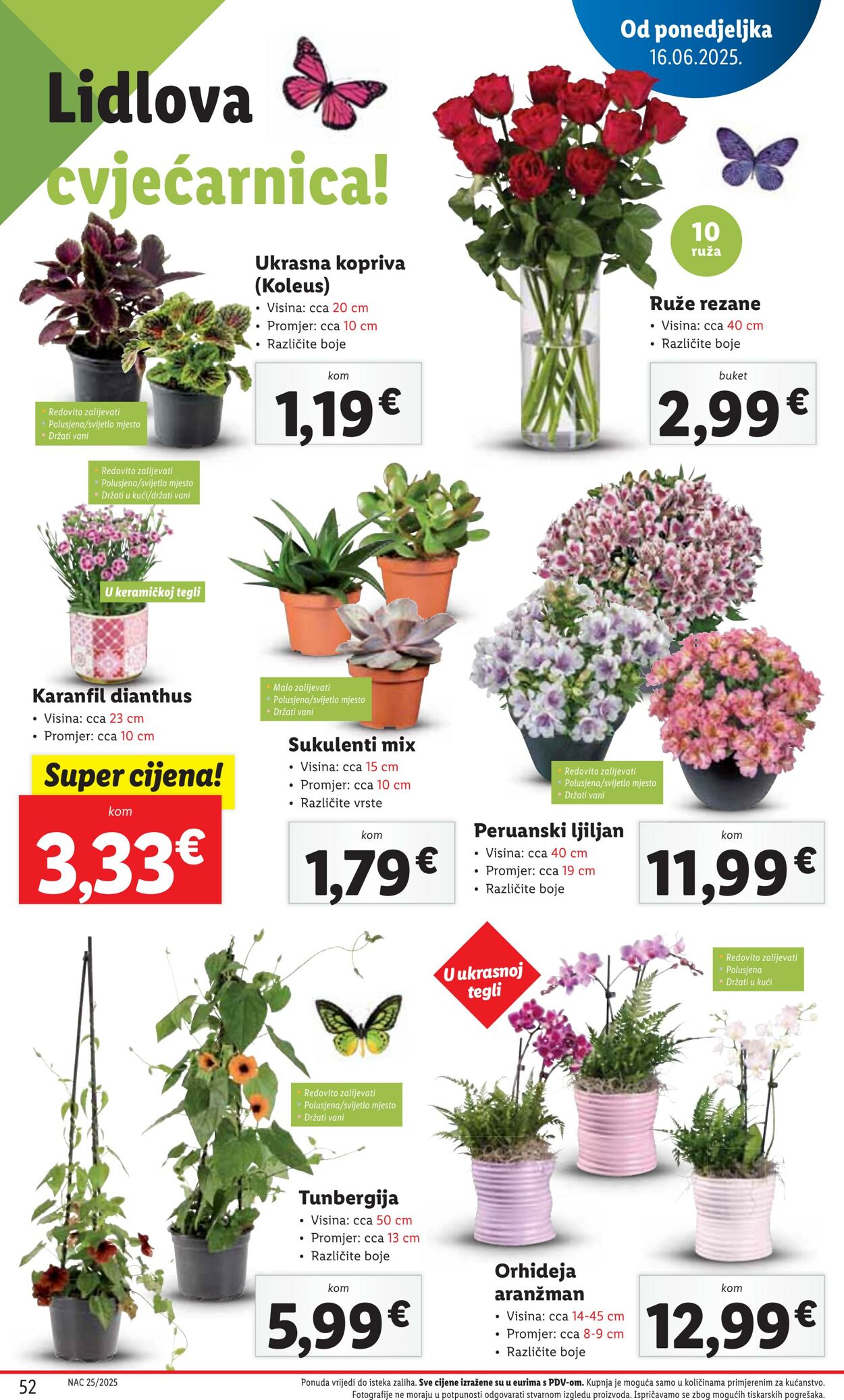 Katalog Lidl 12.06.2025 - 26.06.2025