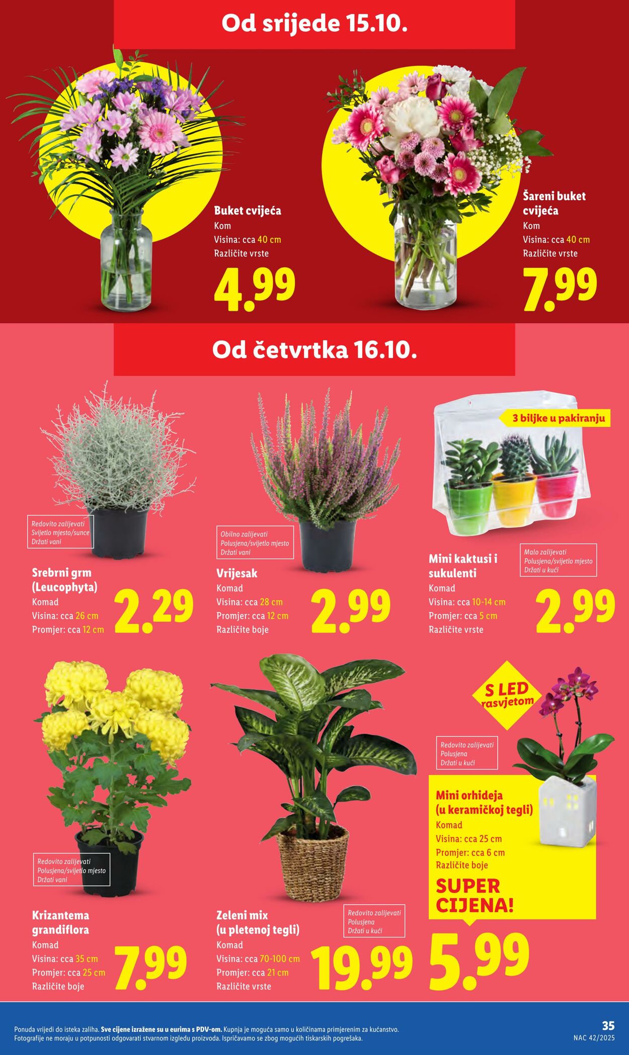 Katalog Lidl 17.10.2025 - 31.10.2025