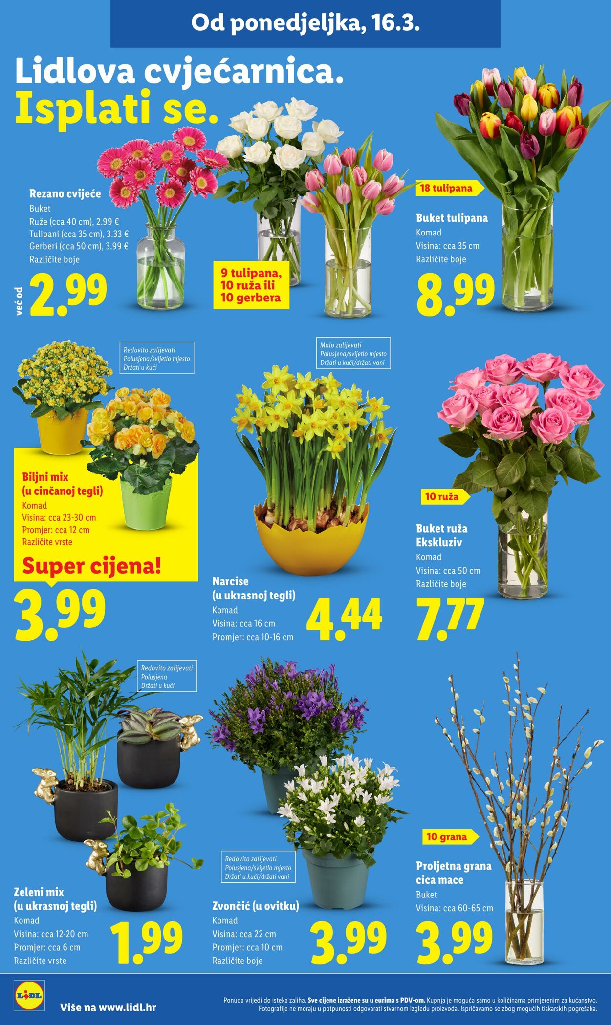 Katalog Lidl 13.03.2026 - 21.03.2026