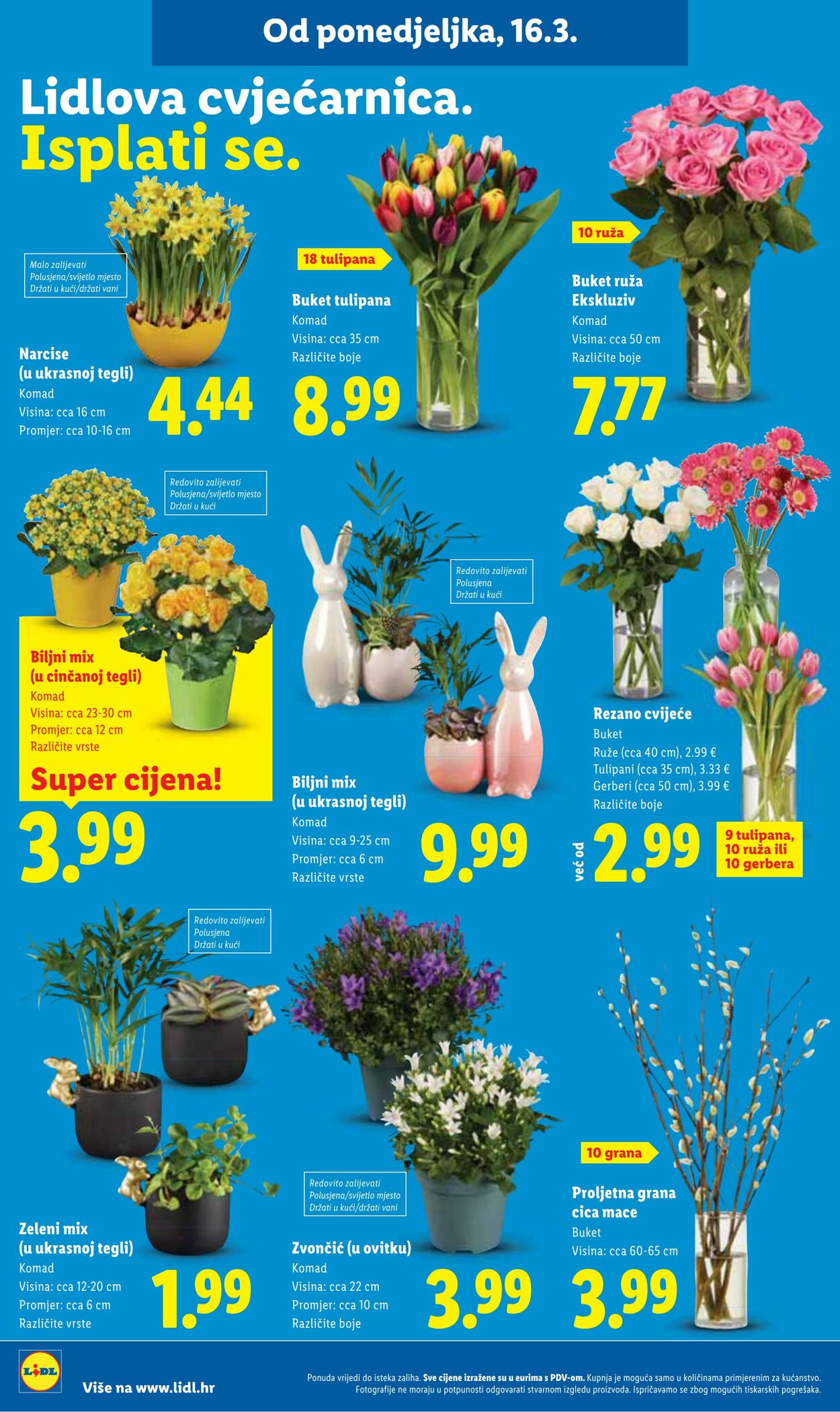 Katalog Lidl 13.03.2026 - 21.03.2026