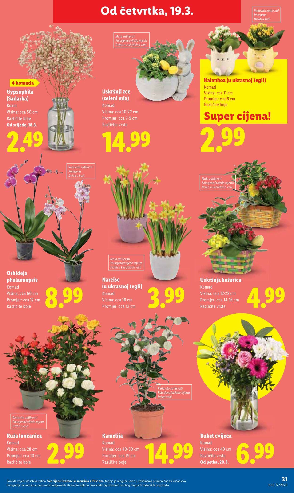 Katalog Lidl 13.03.2026 - 21.03.2026