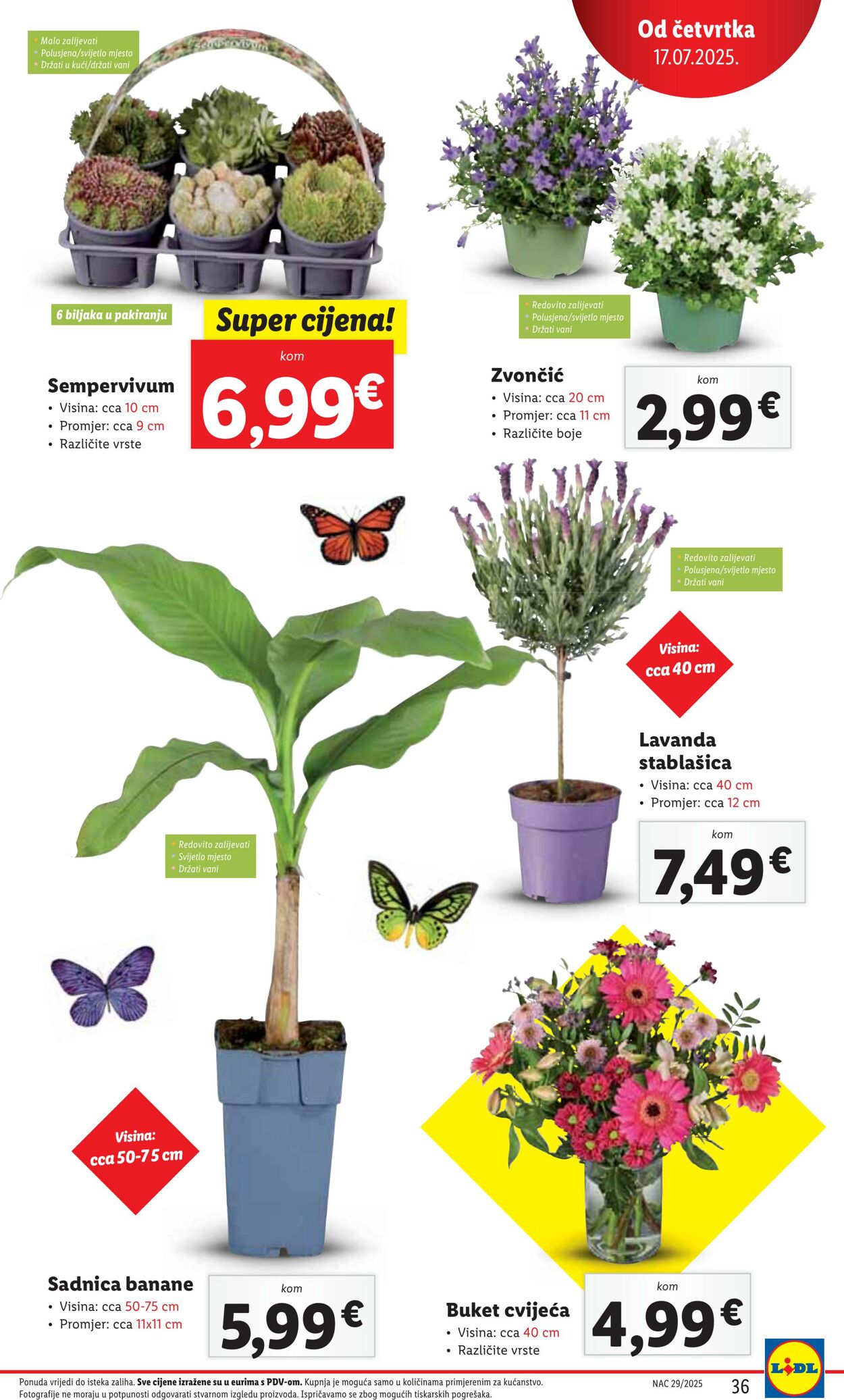 Katalog Lidl 17.07.2025 - 31.07.2025