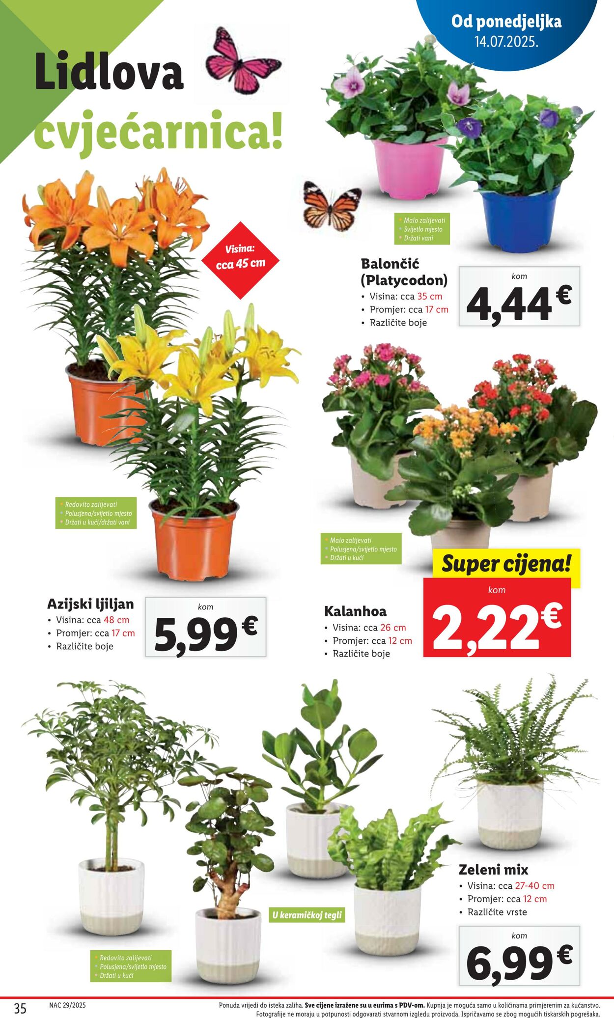 Katalog Lidl 17.07.2025 - 31.07.2025
