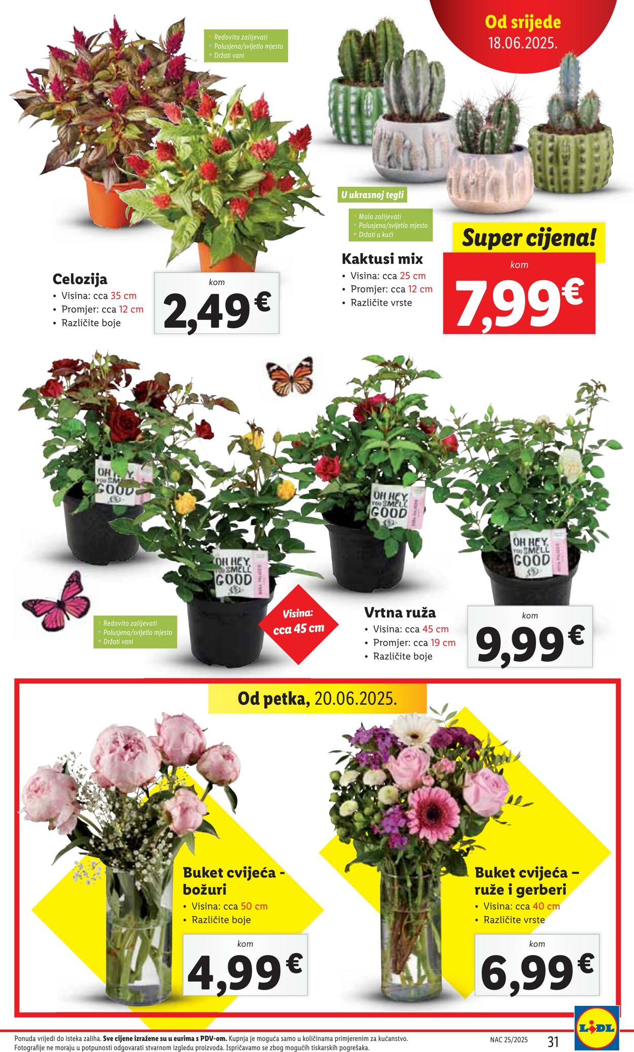 Katalog Lidl 22.06.2025 - 06.07.2025
