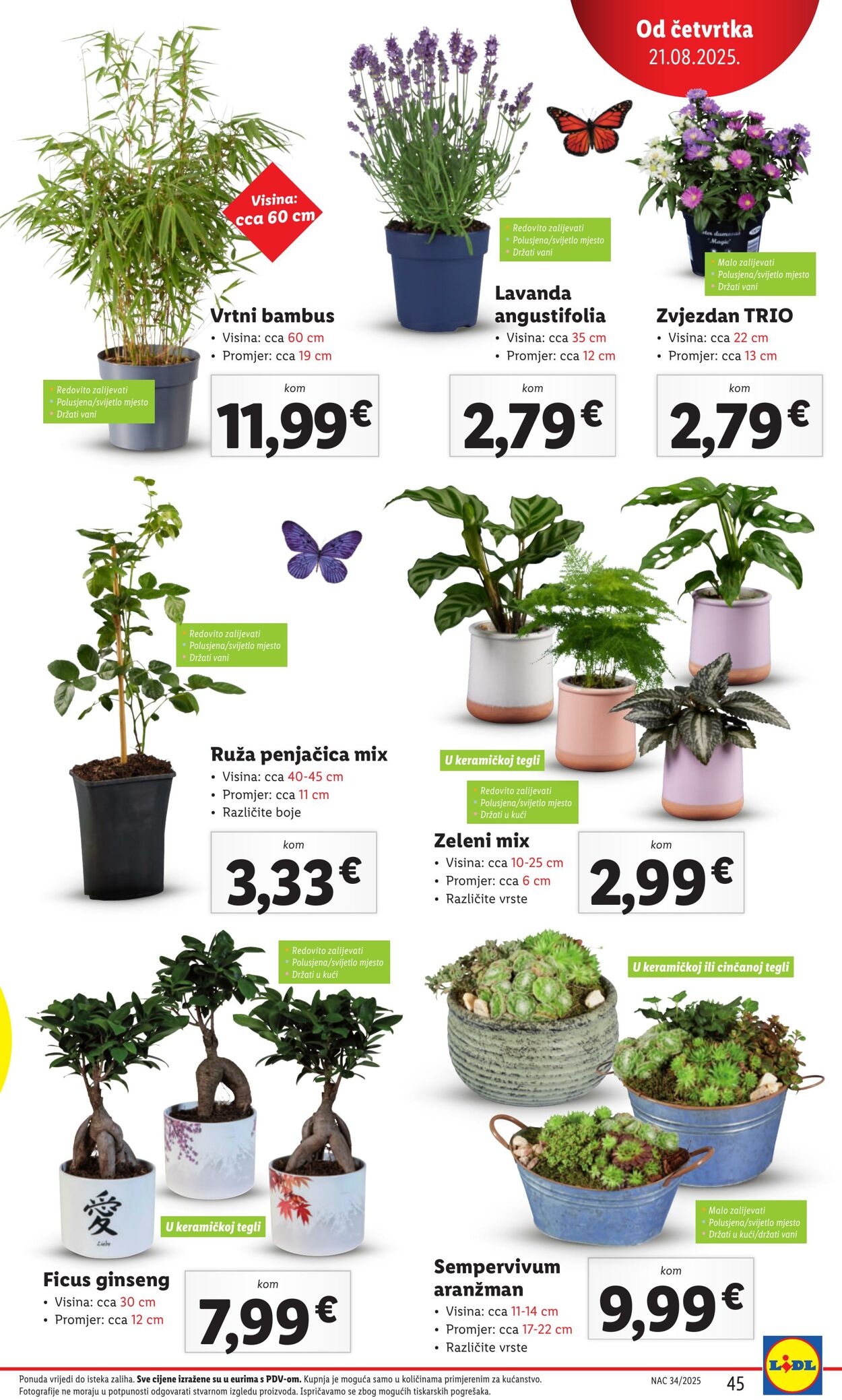 Katalog Lidl 18.08.2025 - 01.09.2025