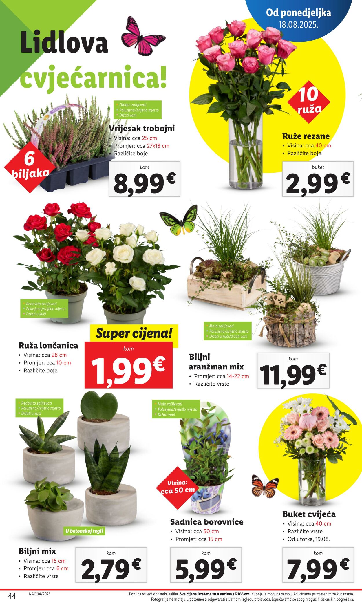 Katalog Lidl 13.08.2025 - 27.08.2025
