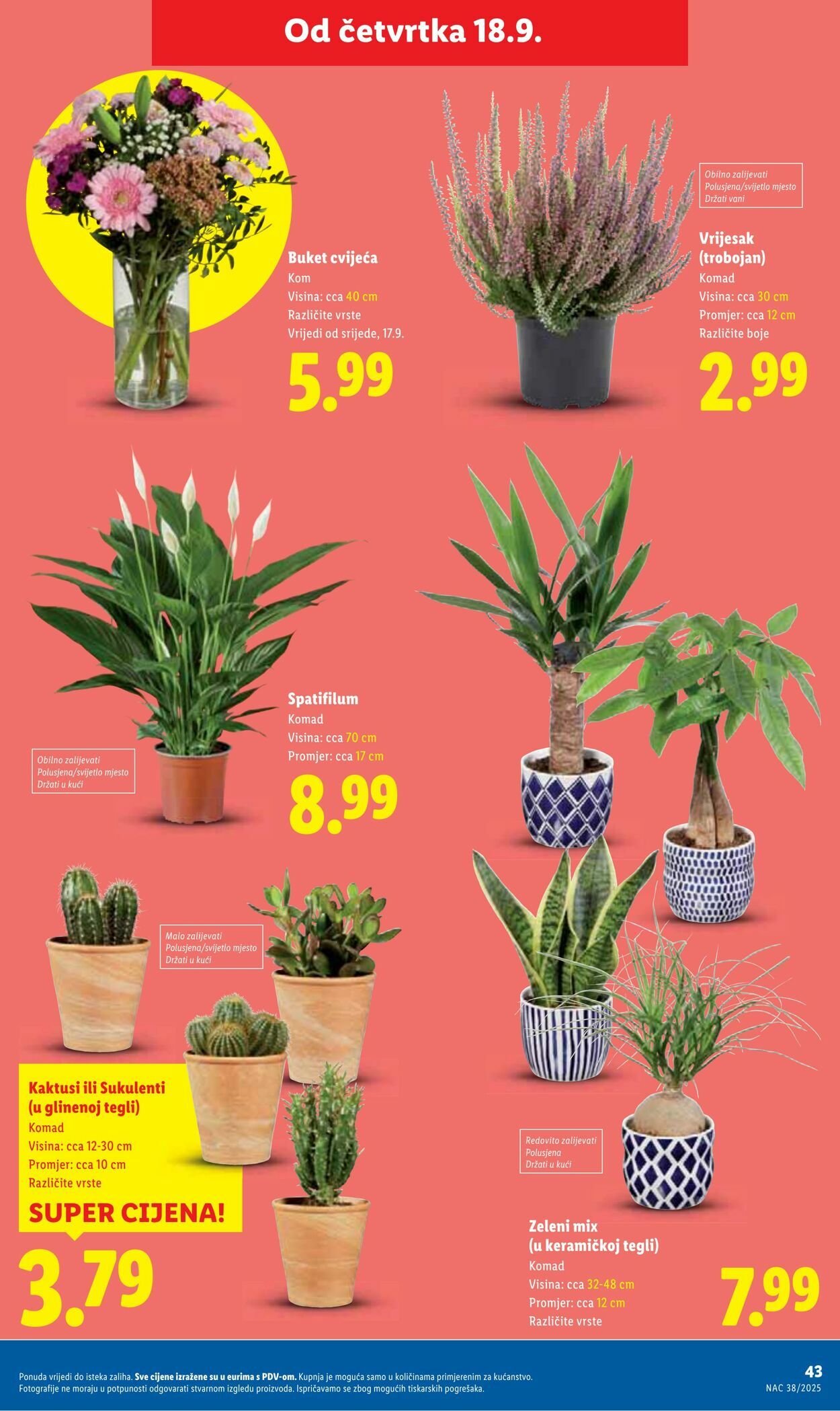 Katalog Lidl 18.09.2025 - 02.10.2025