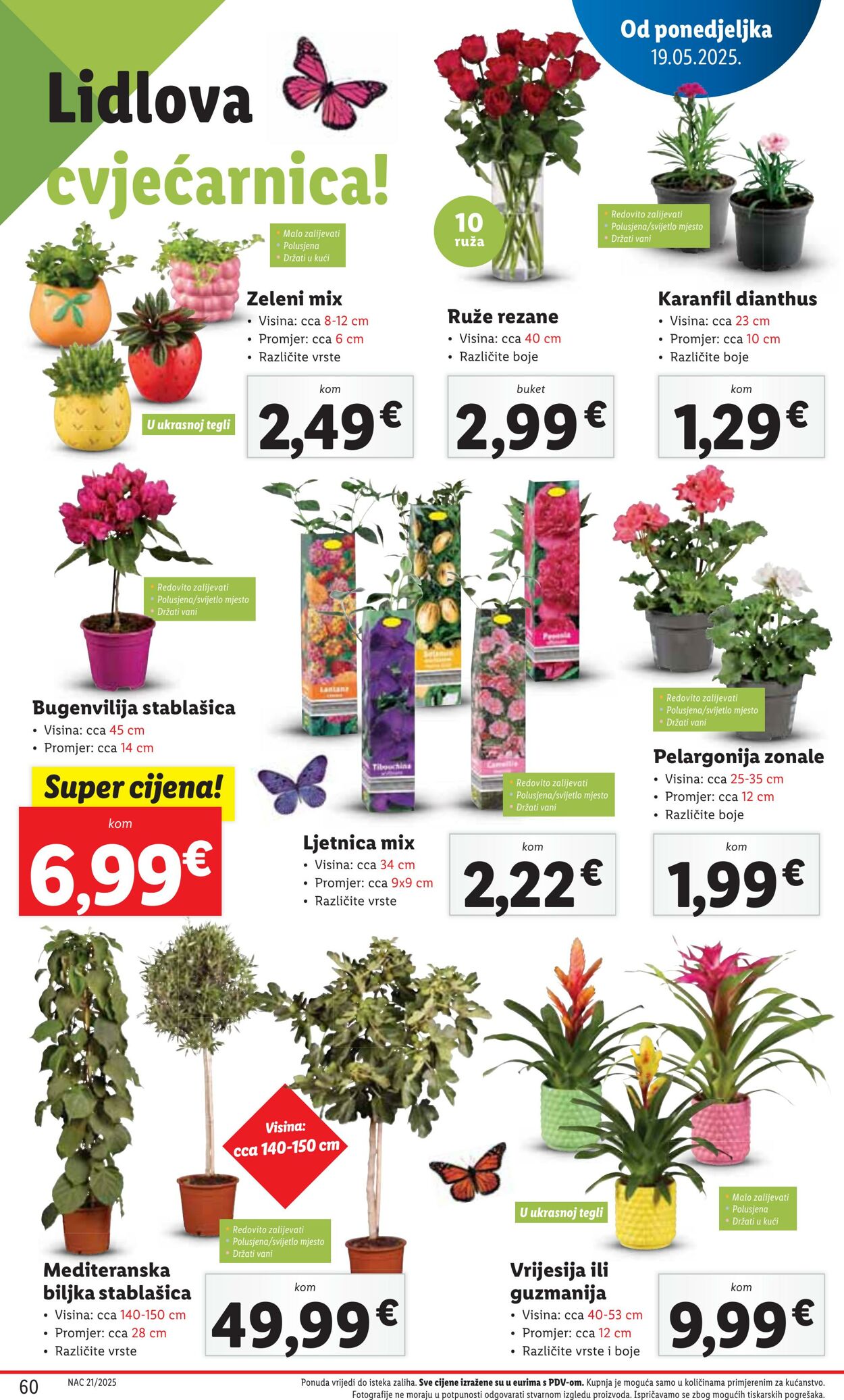Katalog Lidl 18.05.2025 - 01.06.2025
