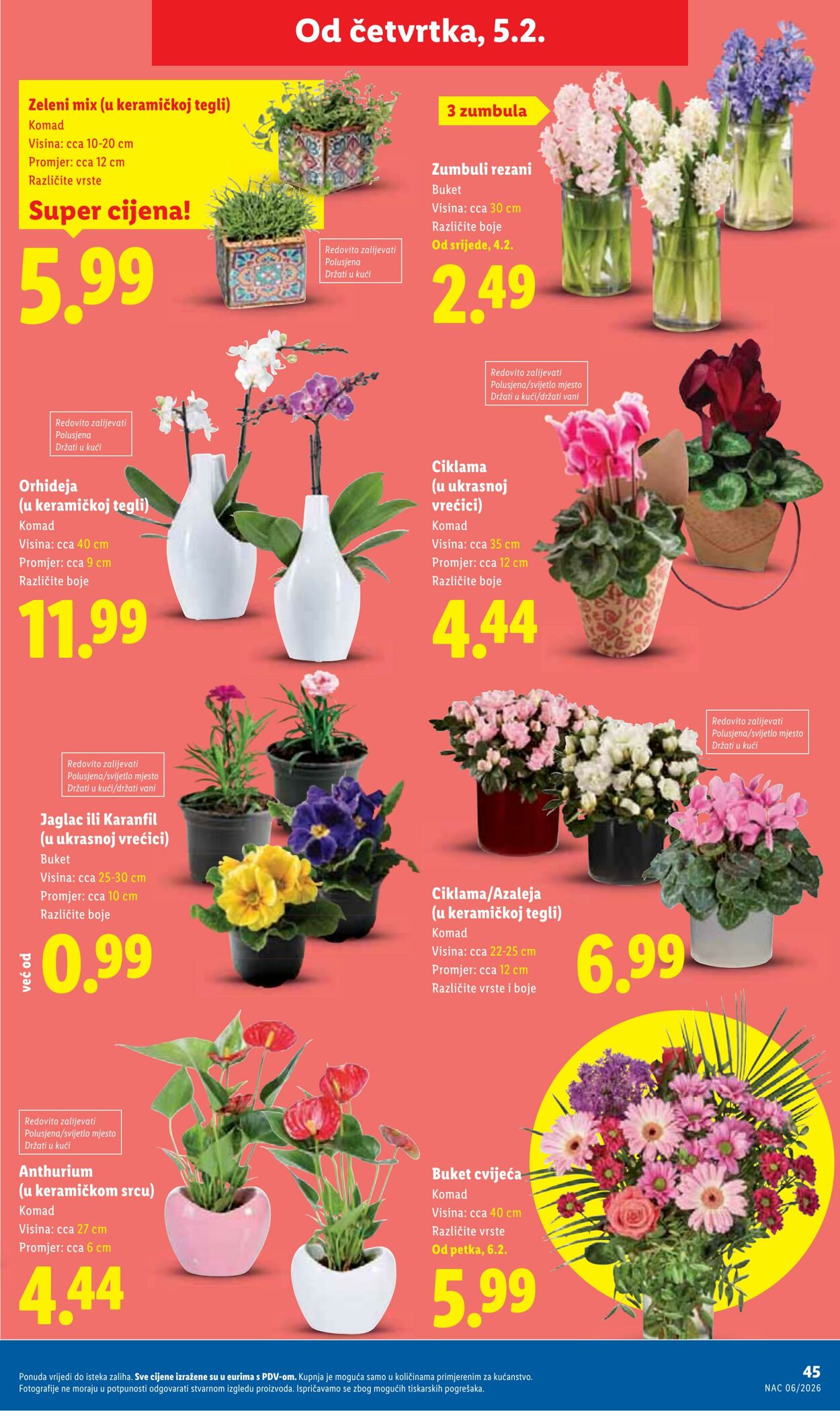 Katalog Lidl 06.02.2026 - 20.02.2026