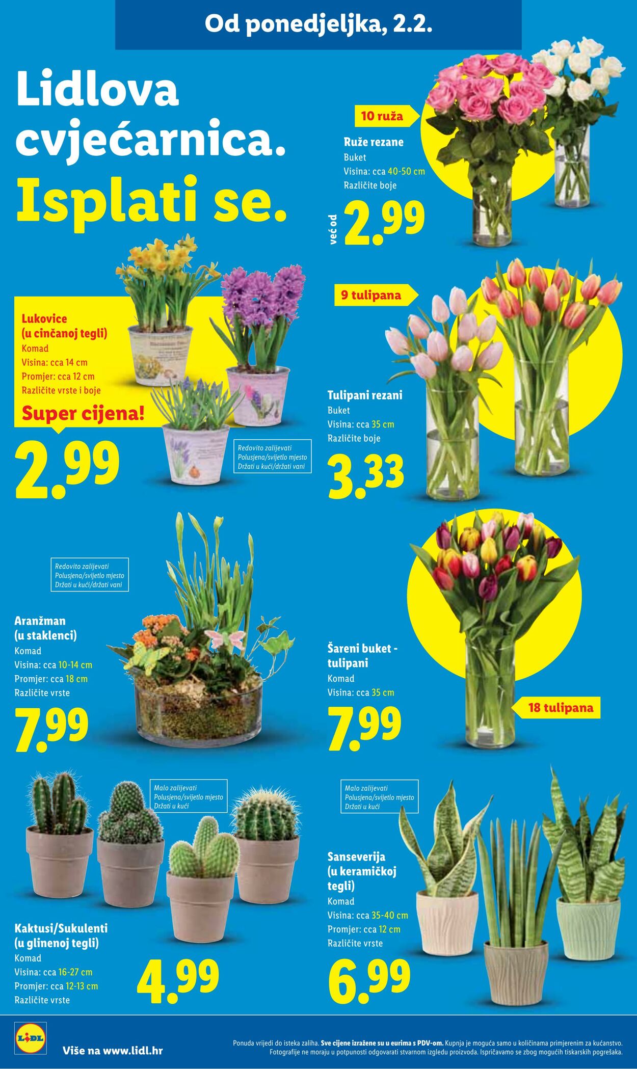 Katalog Lidl 06.02.2026 - 20.02.2026