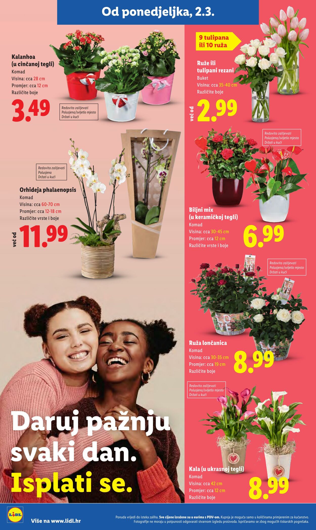 Katalog Lidl 03.03.2026 - 11.03.2026