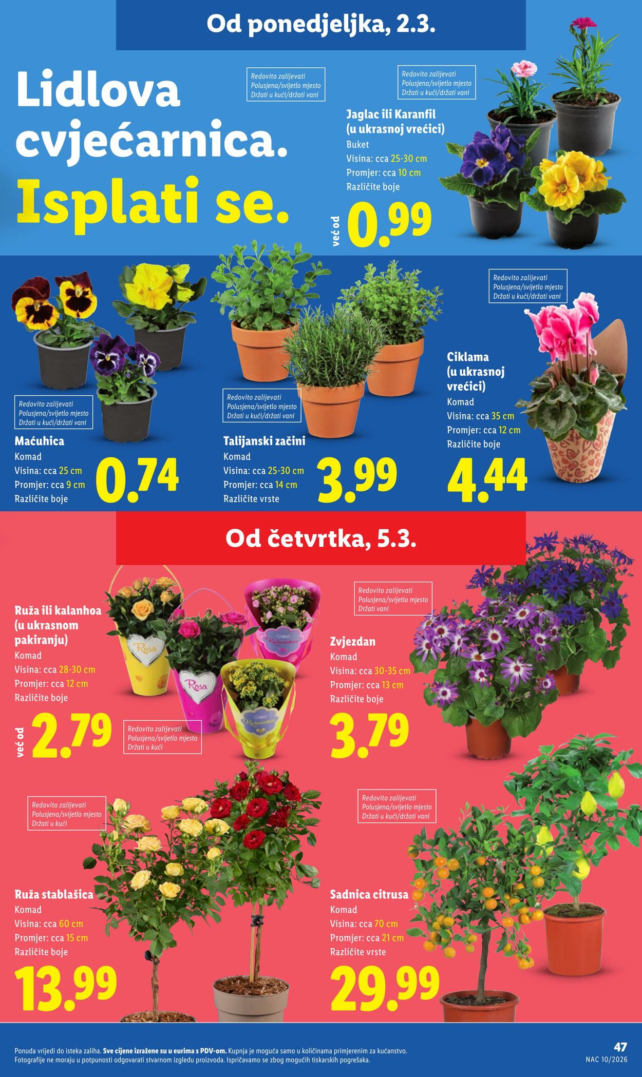Katalog Lidl 26.02.2026 - 06.03.2026