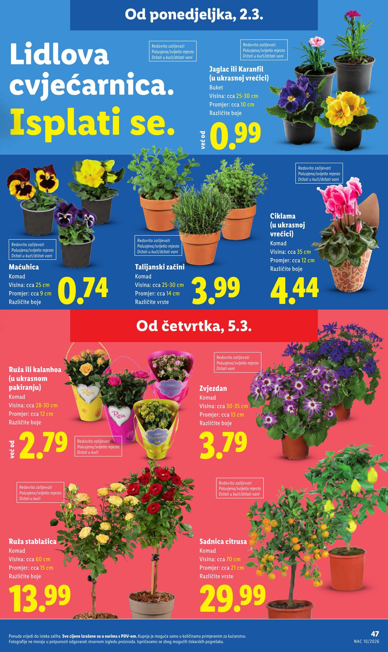 Katalog Lidl 02.03.2026 - 10.03.2026