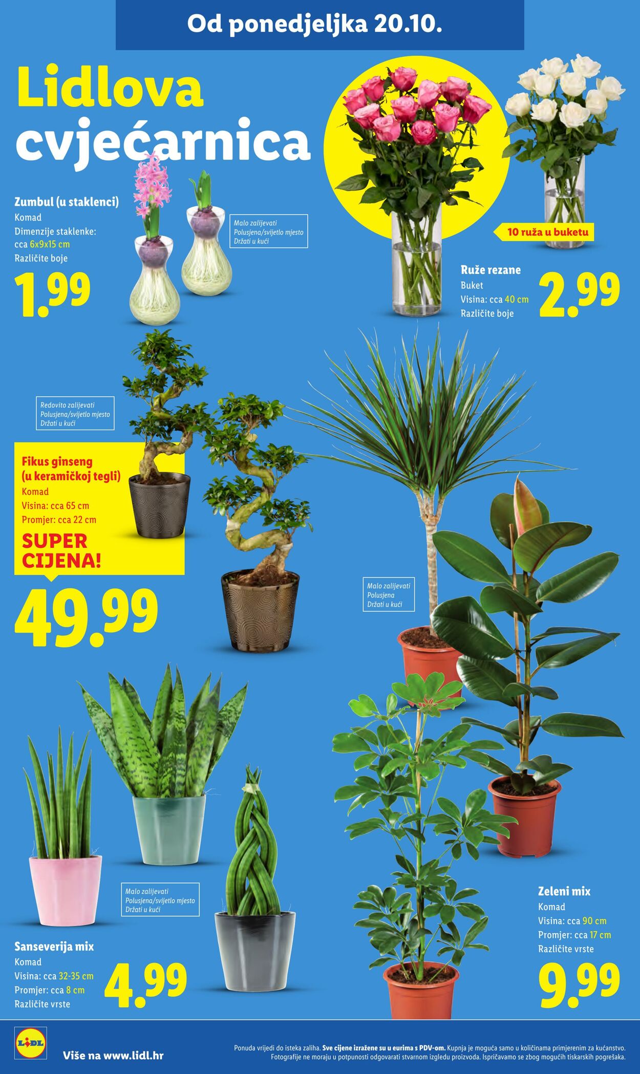 Katalog Lidl 21.10.2025 - 04.11.2025