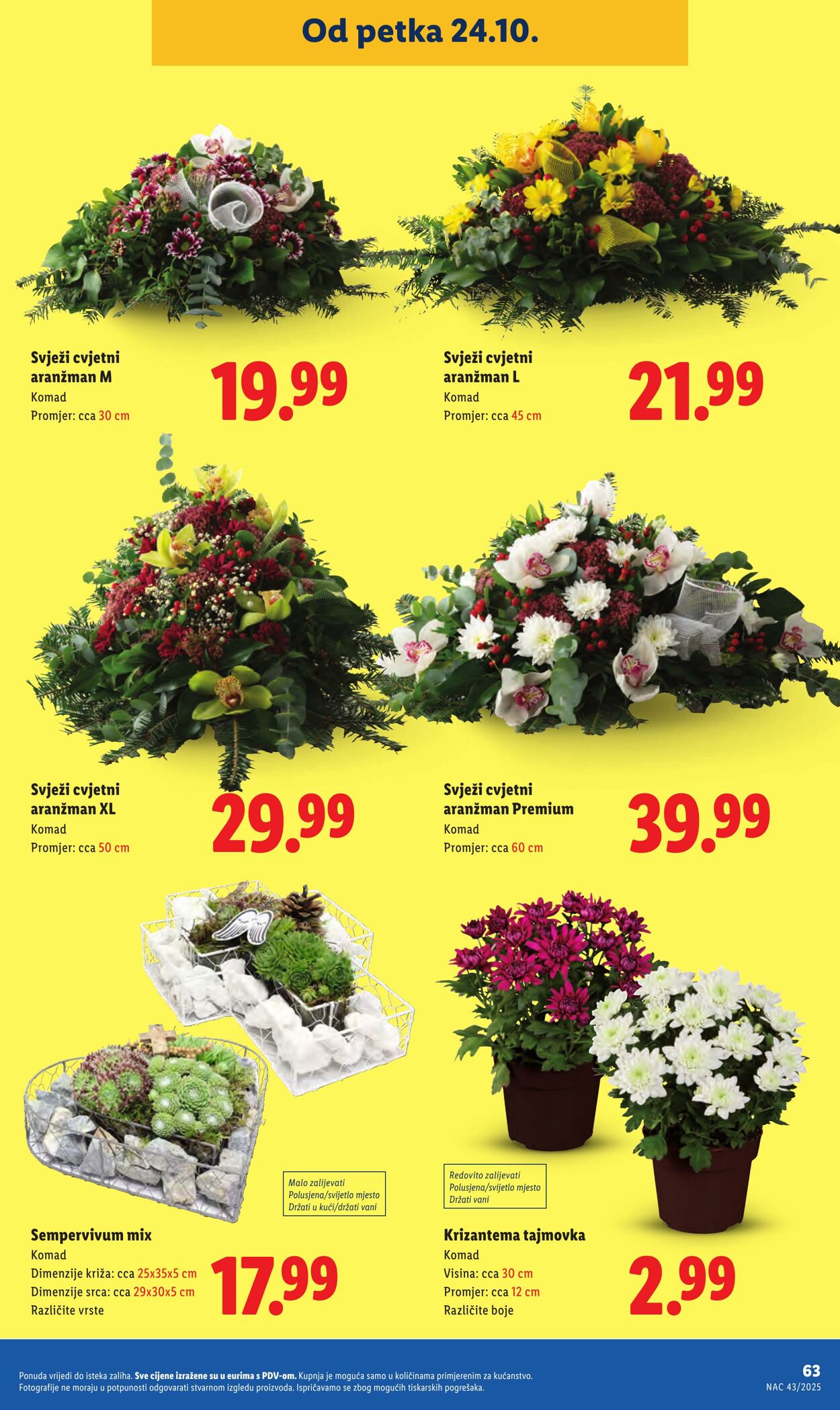 Katalog Lidl 17.10.2025 - 31.10.2025