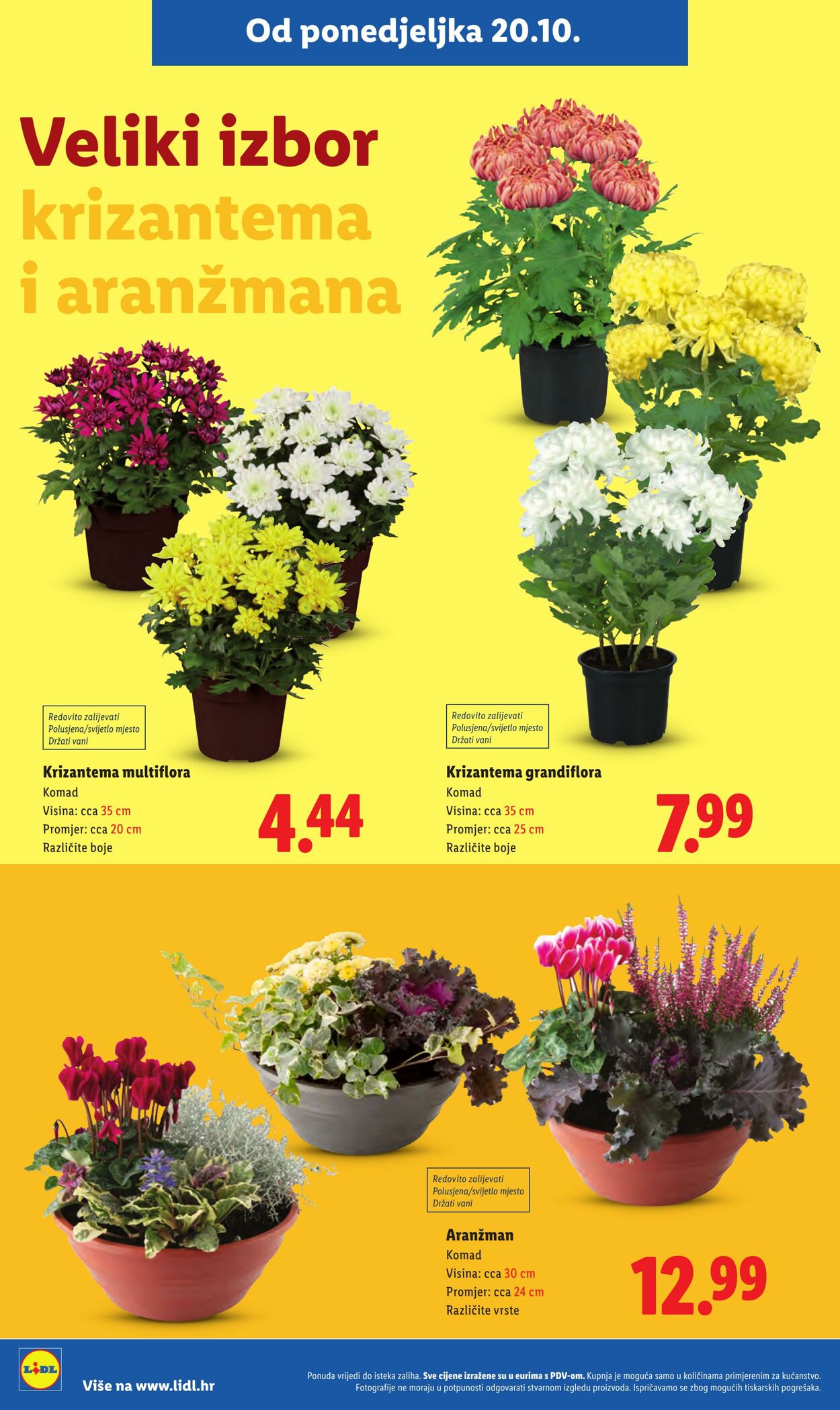 Katalog Lidl 17.10.2025 - 31.10.2025