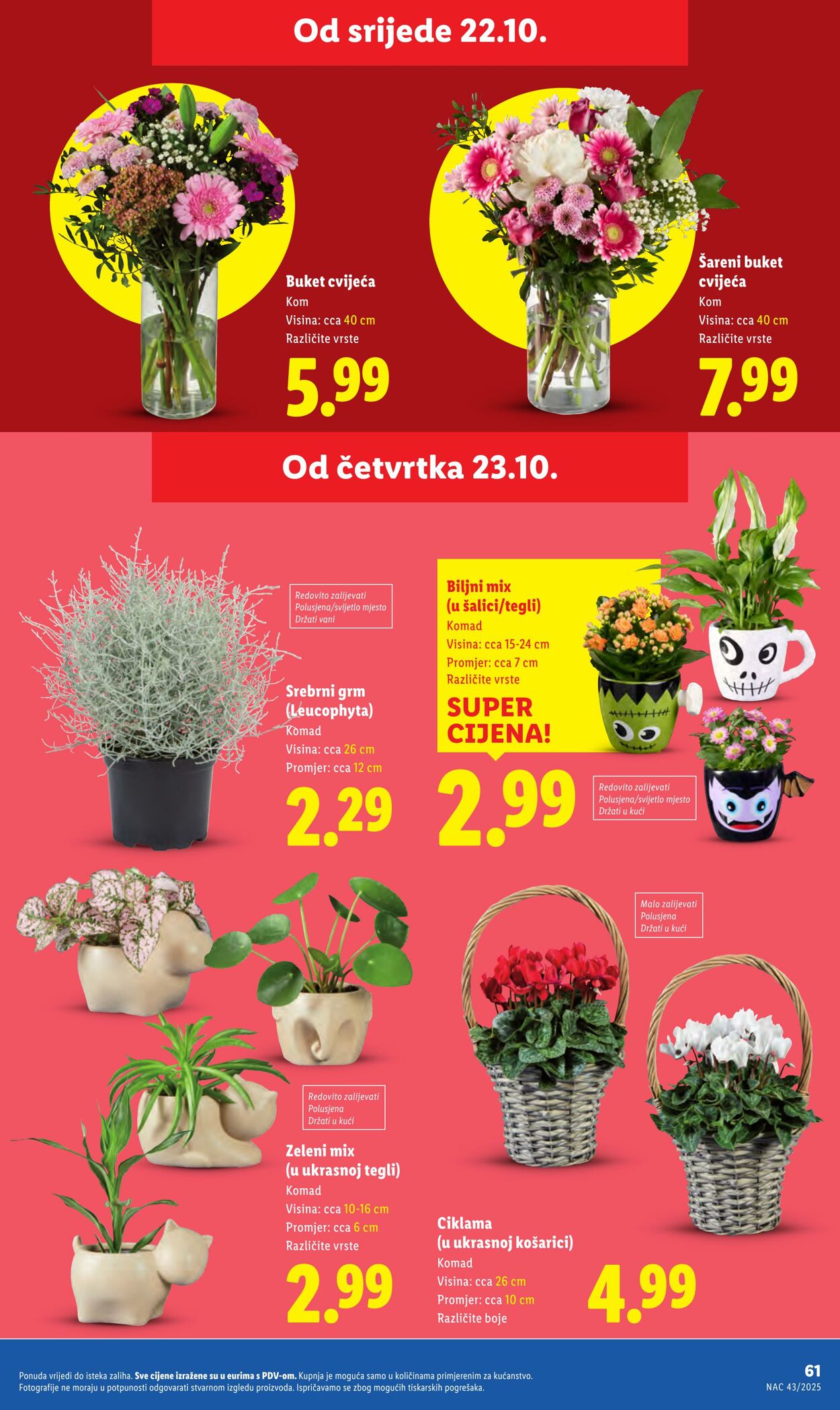 Katalog Lidl 22.10.2025 - 05.11.2025