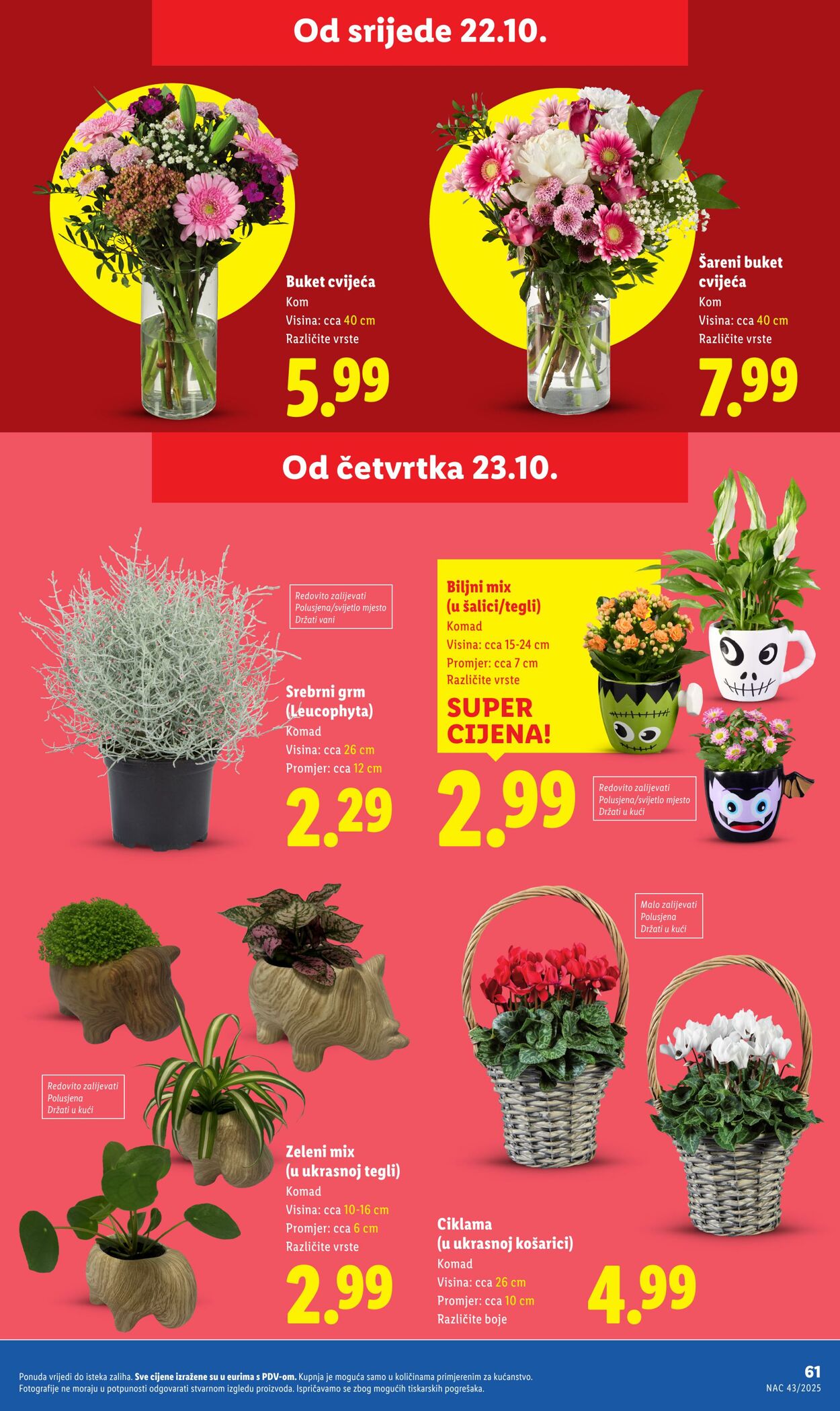Katalog Lidl 24.10.2025 - 07.11.2025