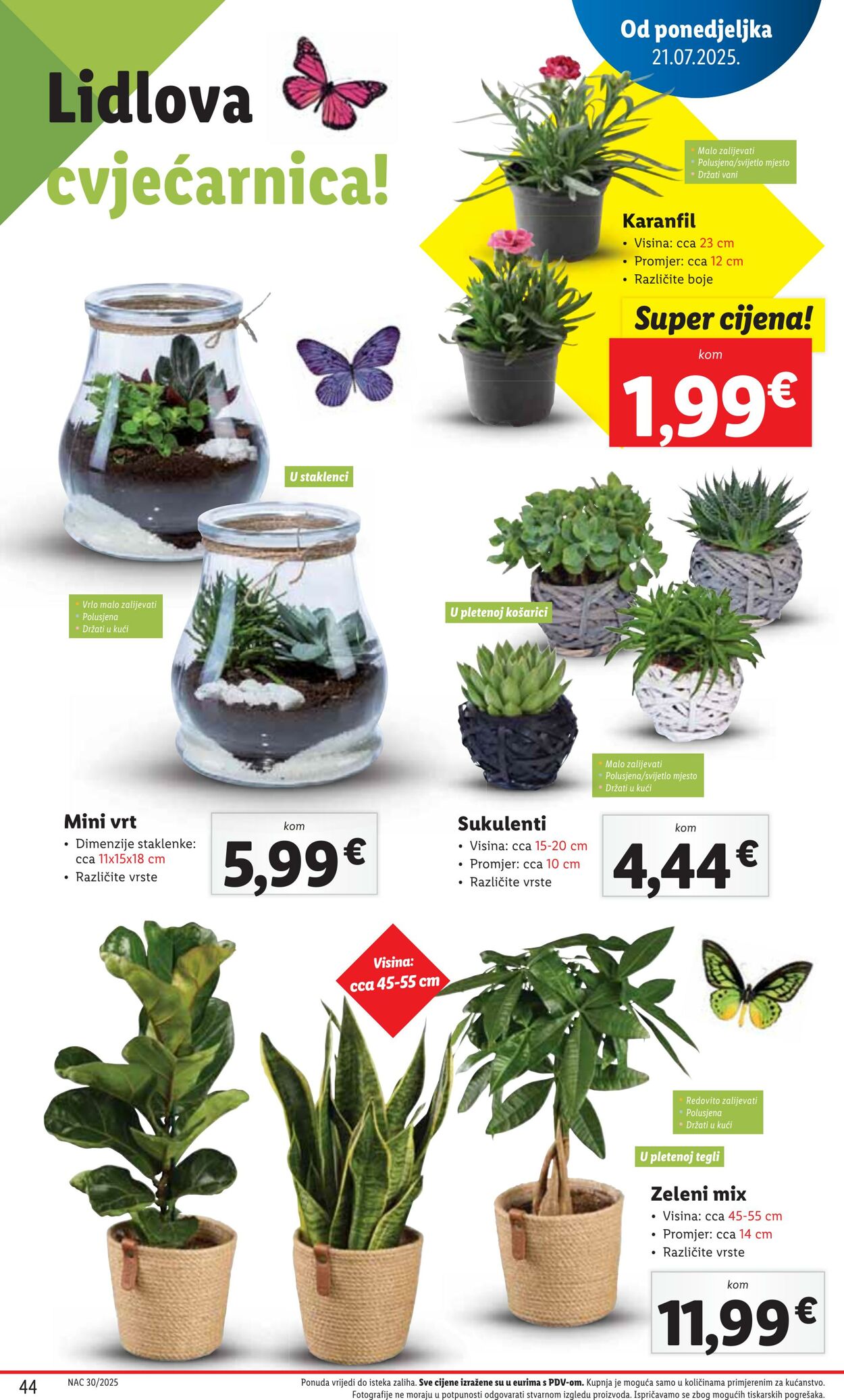 Katalog Lidl 18.07.2025 - 01.08.2025