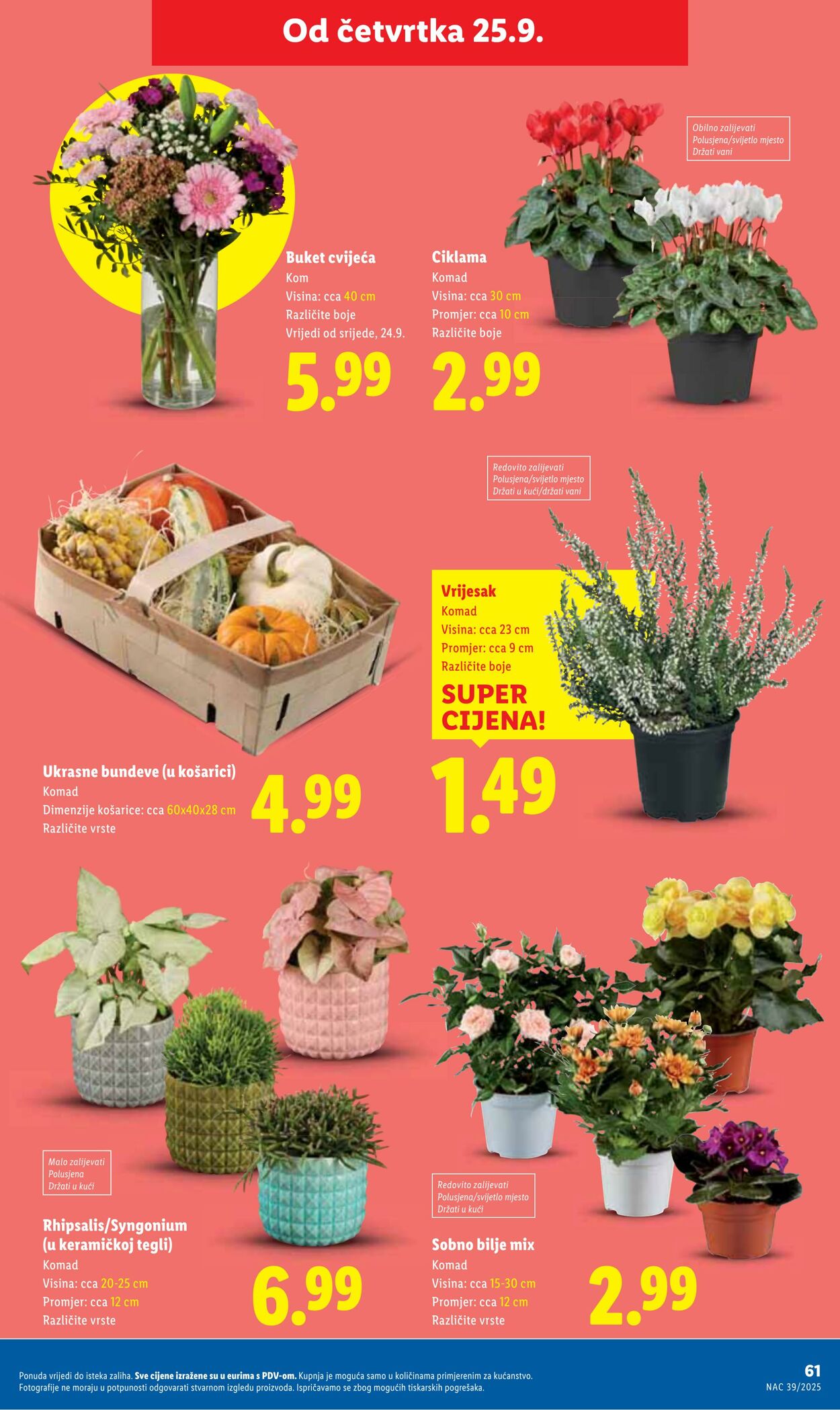 Katalog Lidl 19.09.2025 - 03.10.2025
