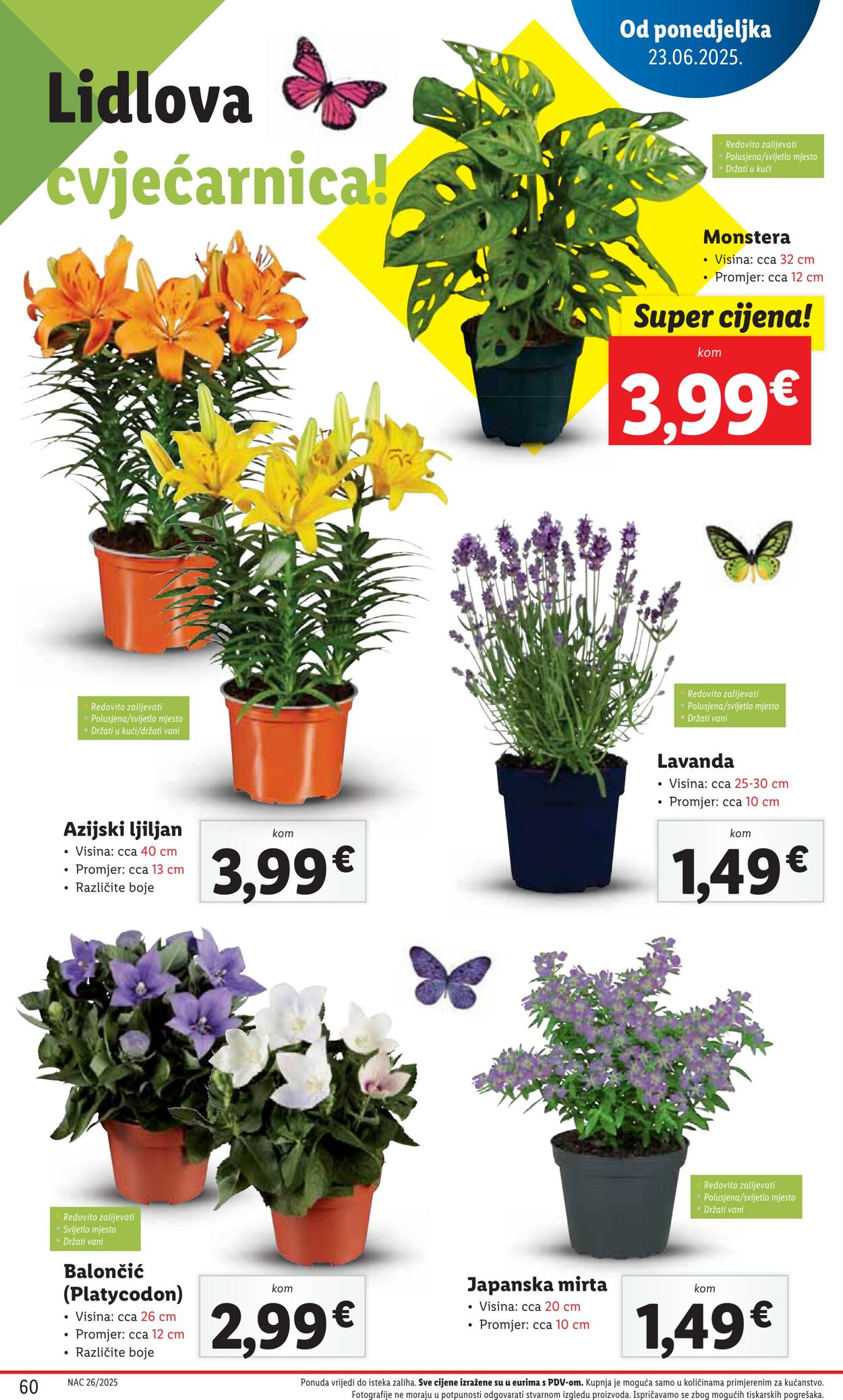 Katalog Lidl 20.06.2025 - 04.07.2025
