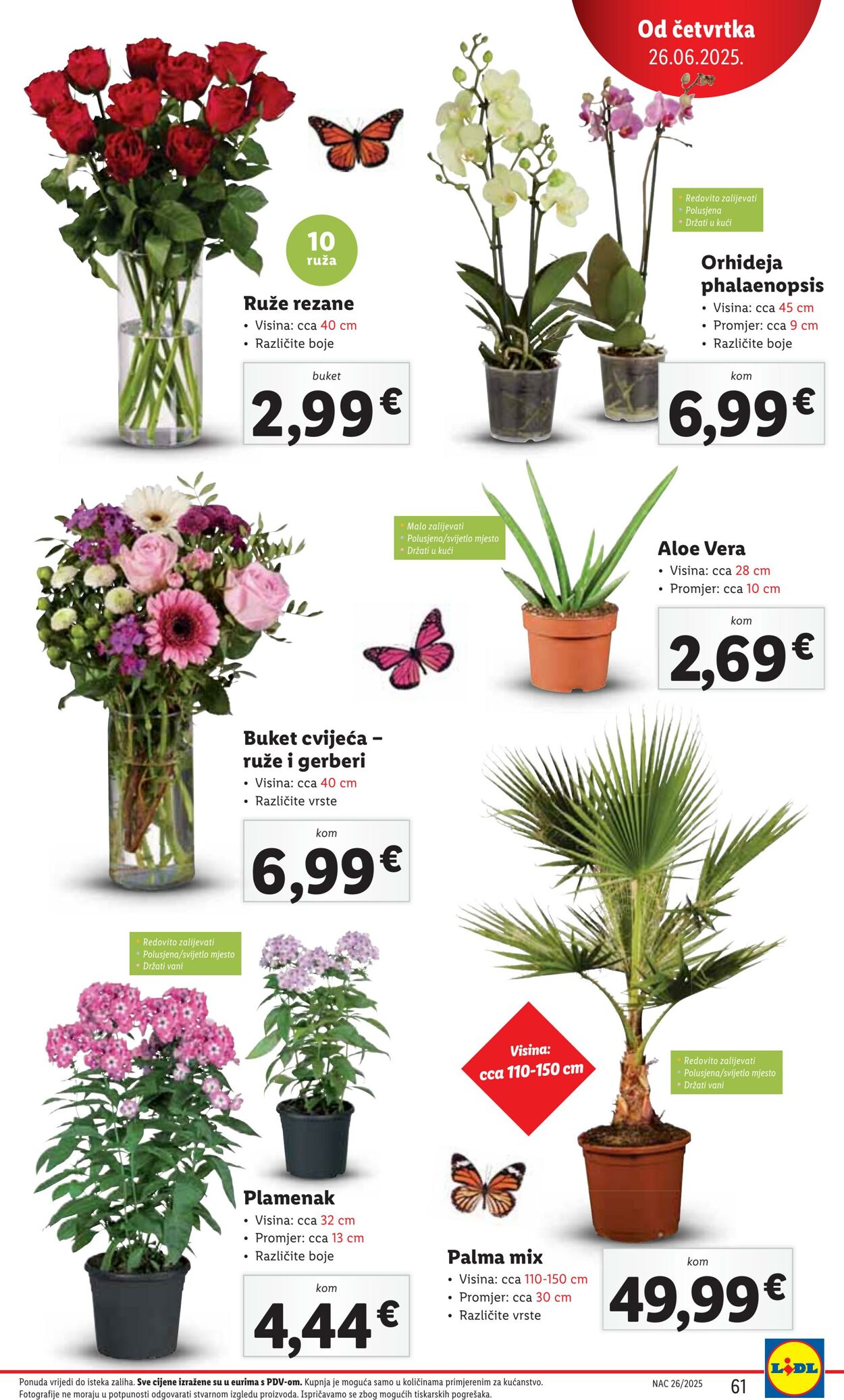 Katalog Lidl 20.06.2025 - 04.07.2025