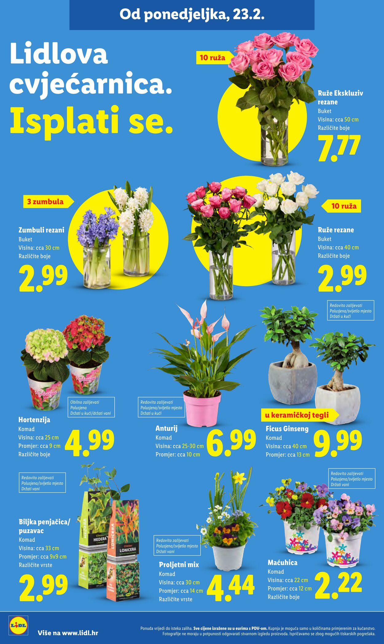 Katalog Lidl 23.02.2026 - 03.03.2026