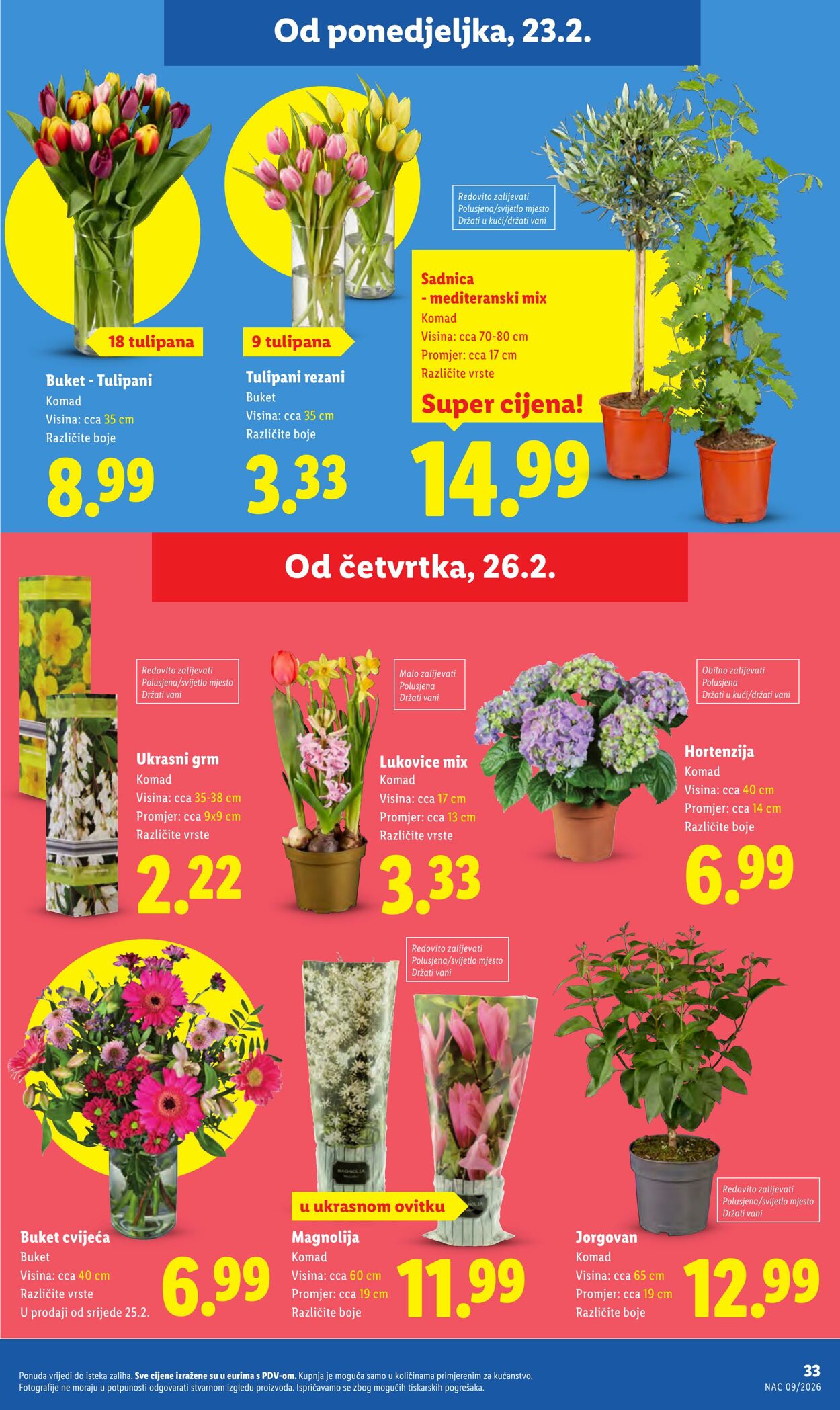Katalog Lidl 19.02.2026 - 27.02.2026
