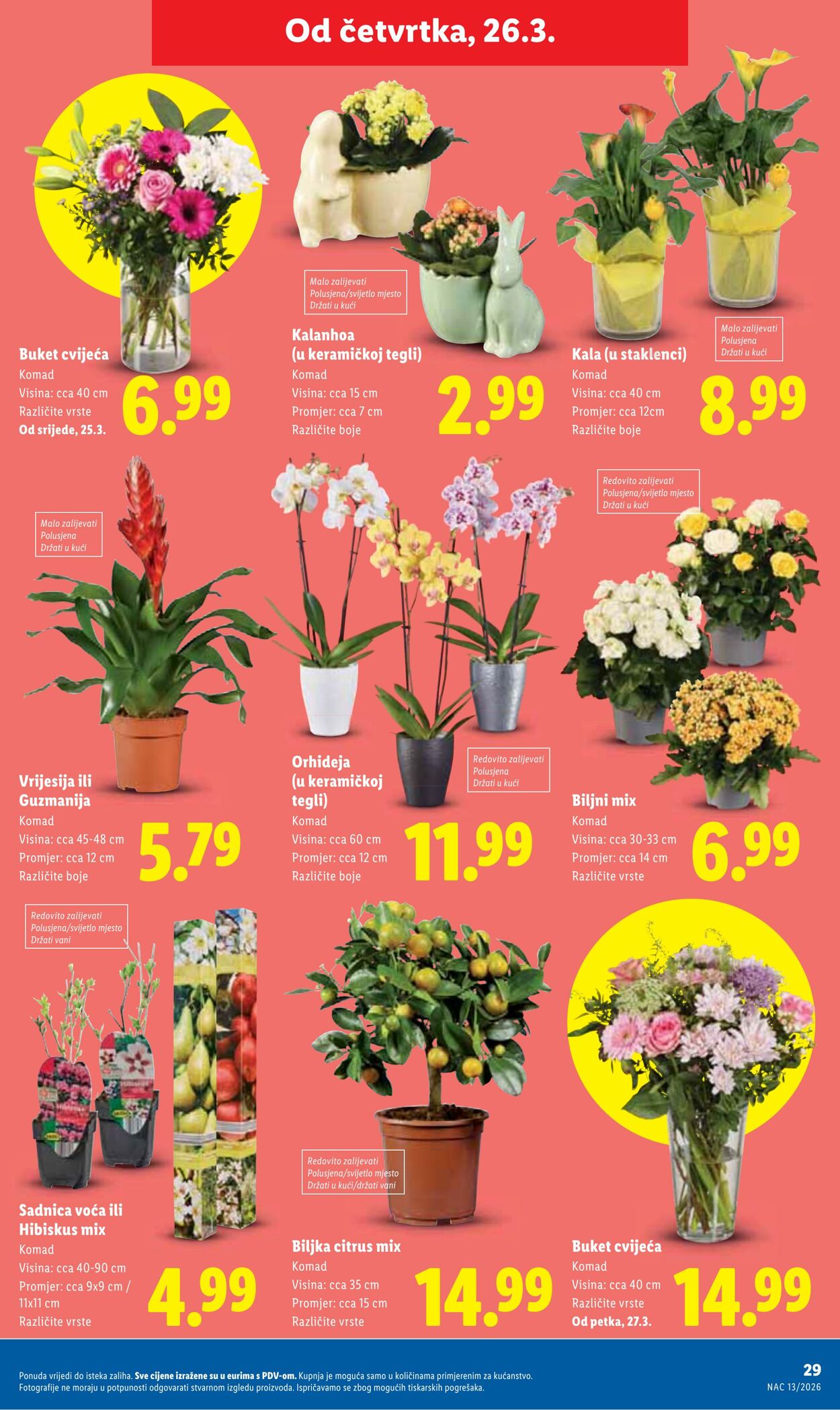 Katalog Lidl 23.03.2026 - 31.03.2026