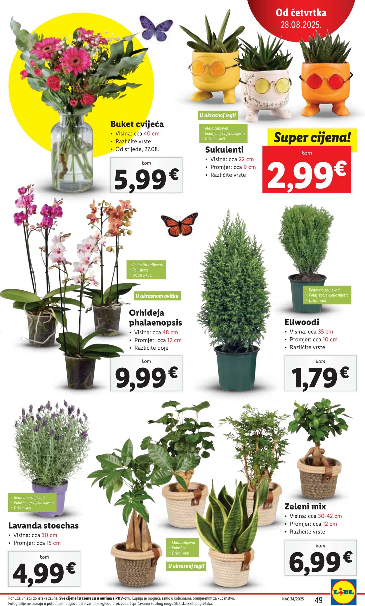 Katalog Lidl 27.08.2025 - 03.09.2025