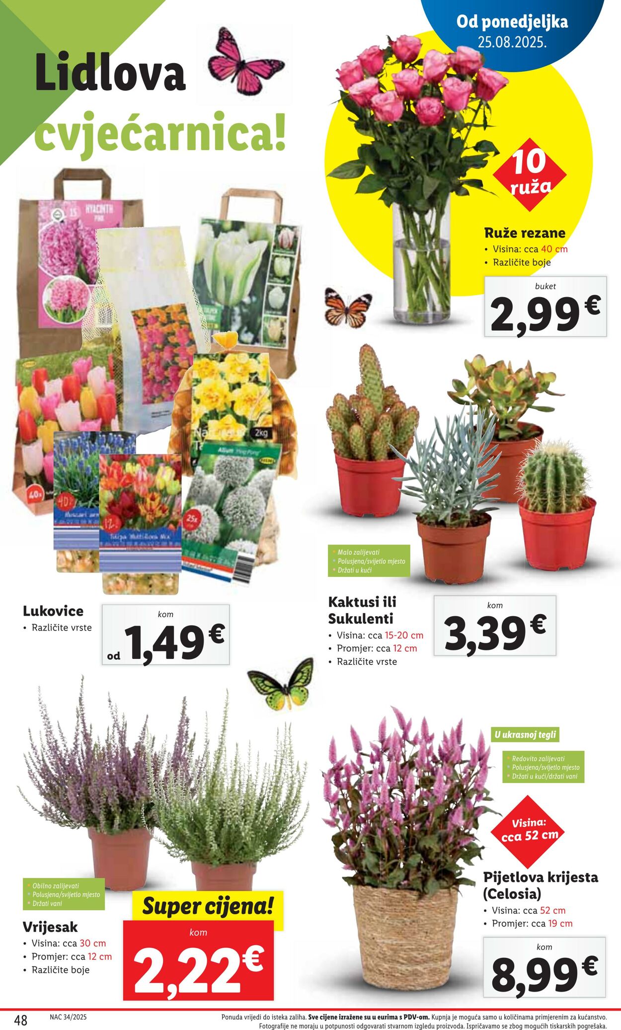 Katalog Lidl 24.08.2025 - 07.09.2025