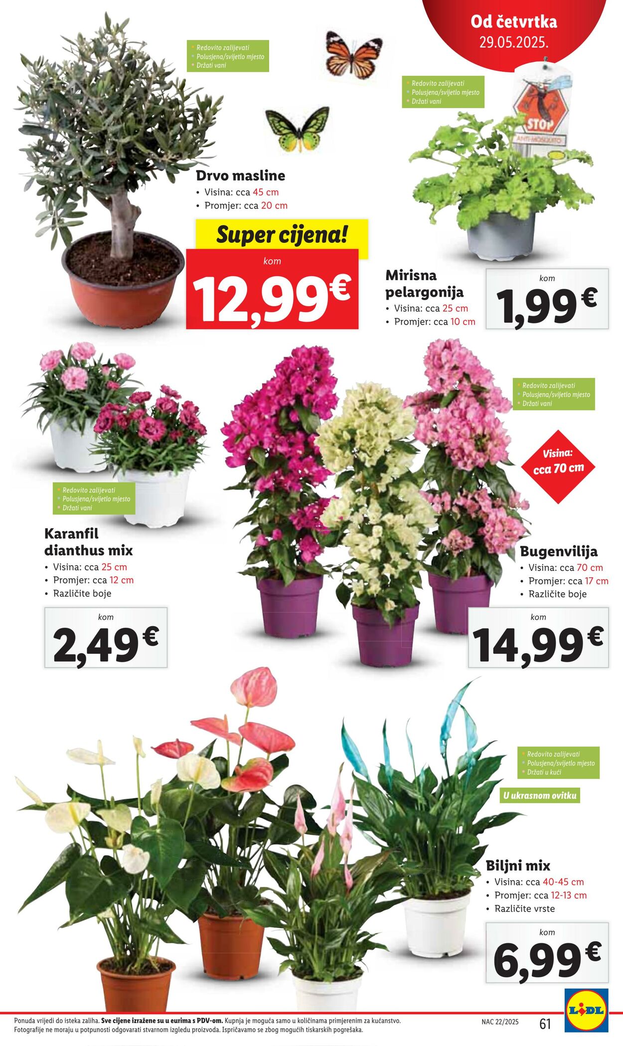 Katalog Lidl 23.05.2025 - 06.06.2025