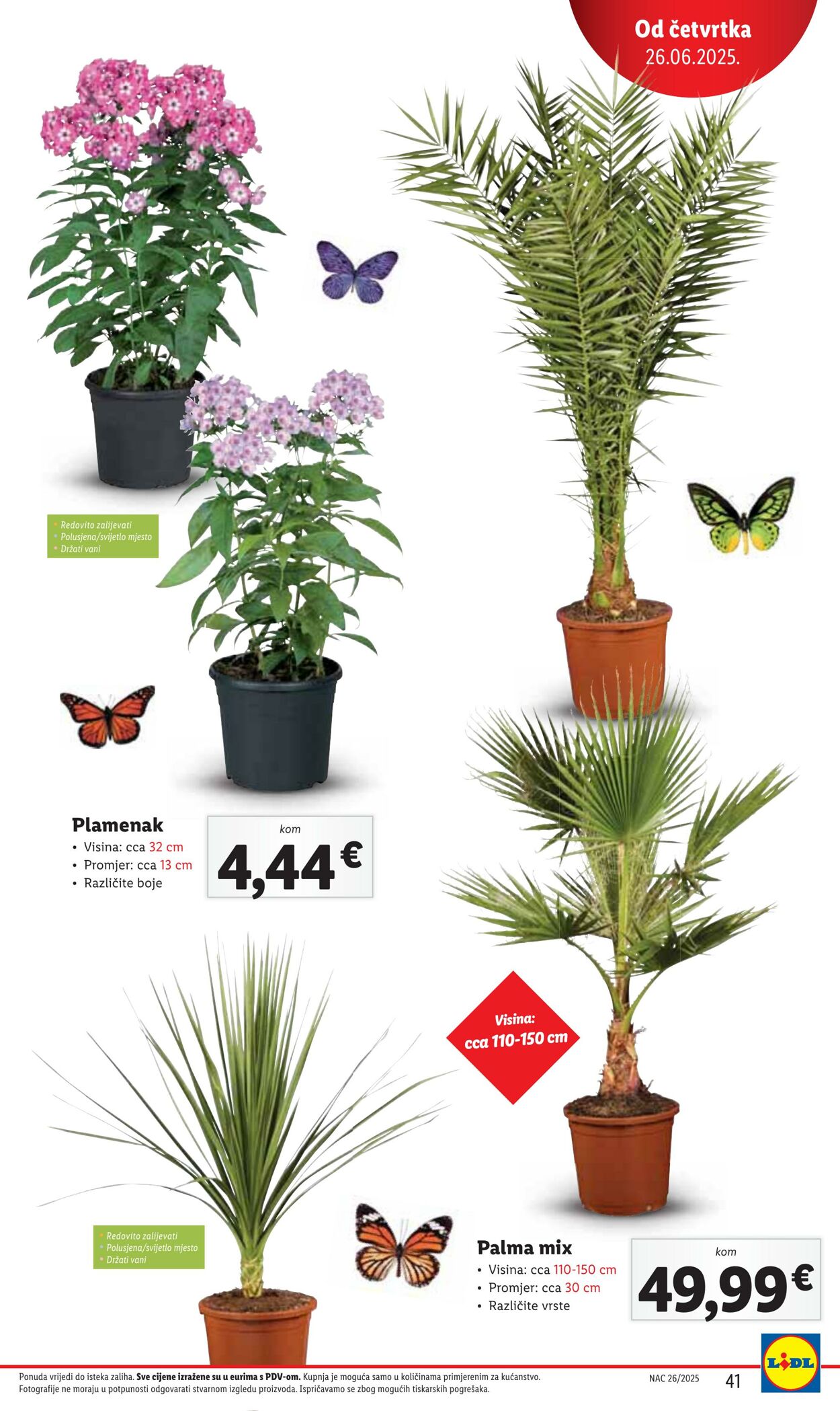 Katalog Lidl 26.06.2025 - 03.07.2025