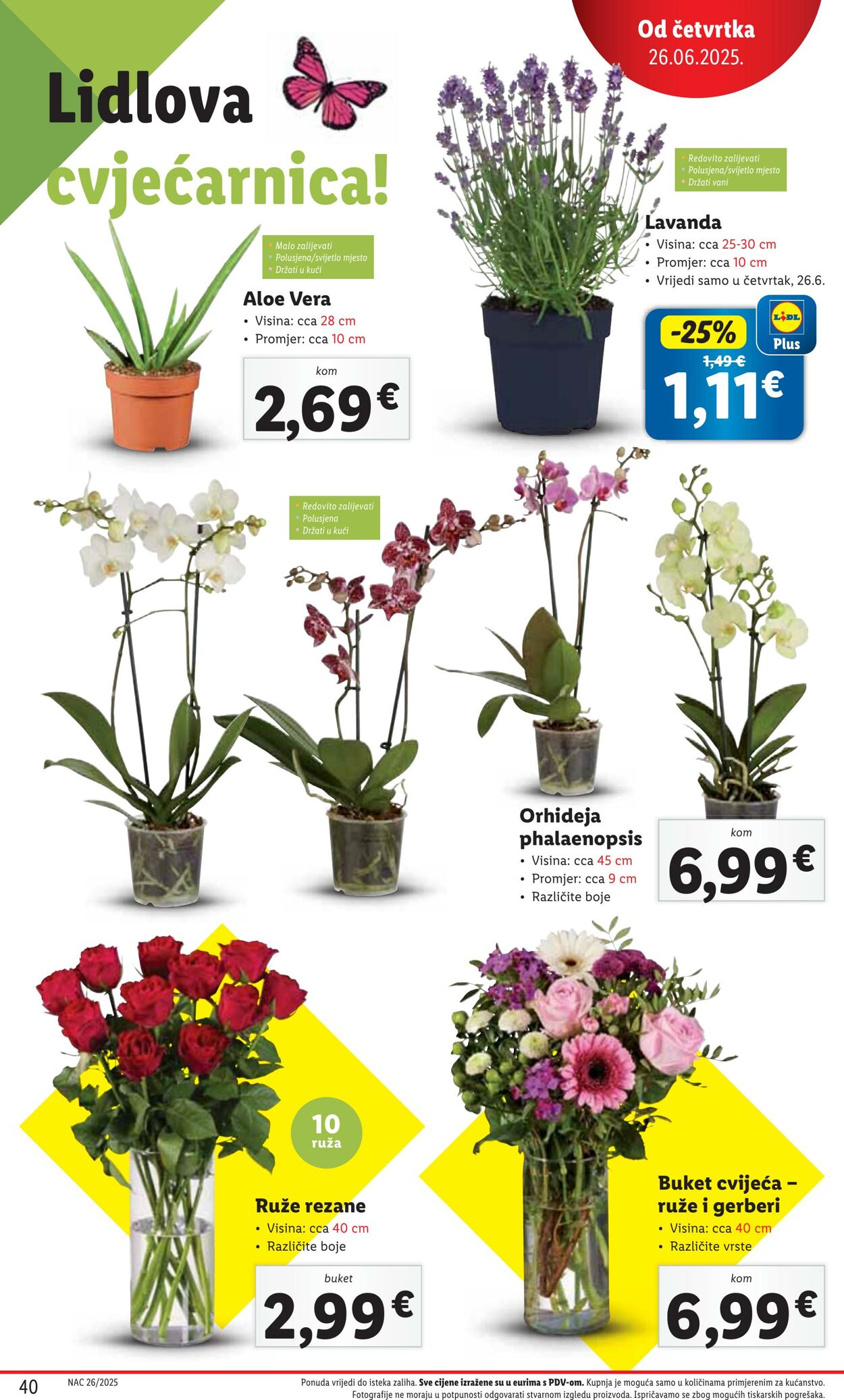Katalog Lidl 26.06.2025 - 03.07.2025