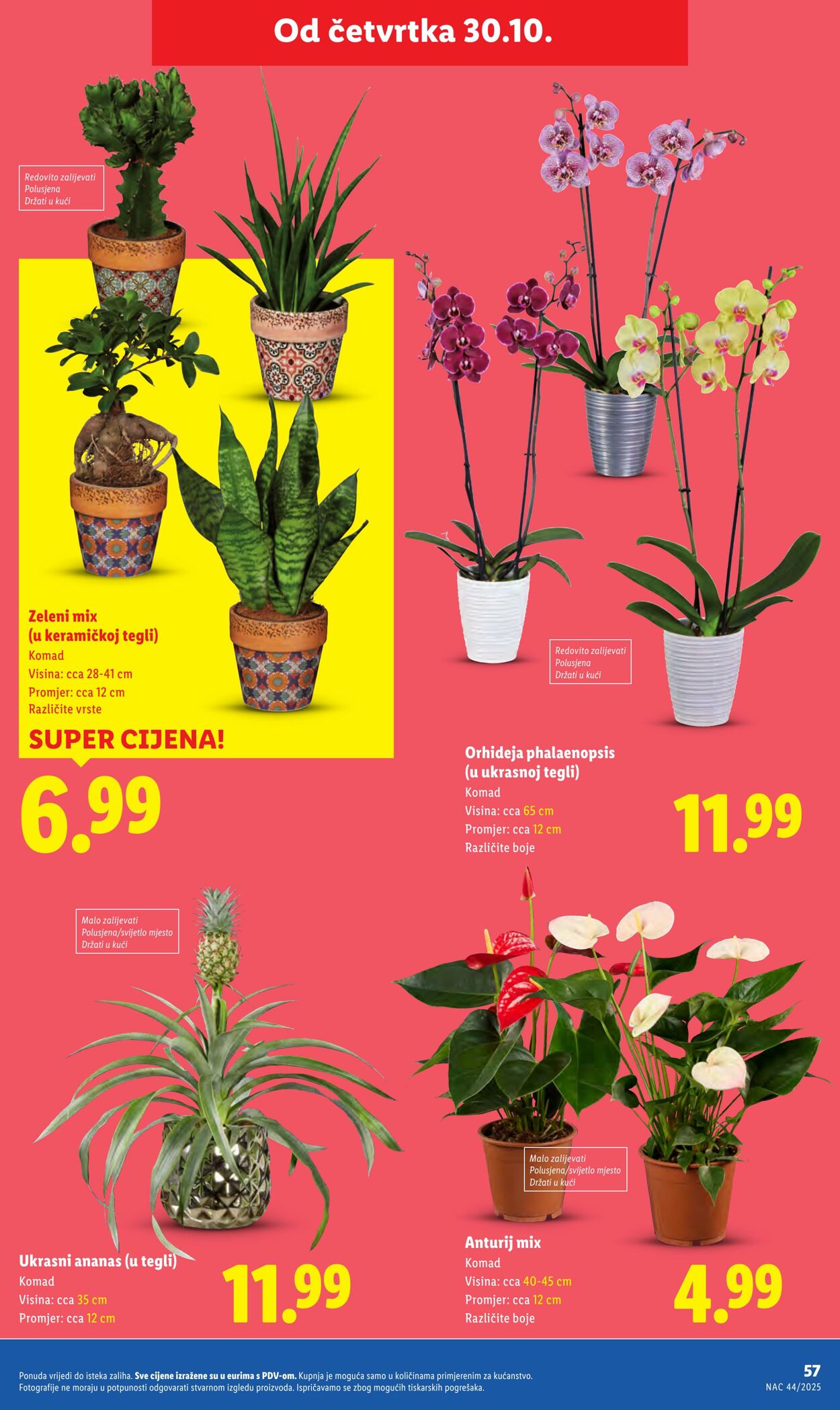 Katalog Lidl 26.10.2025 - 09.11.2025