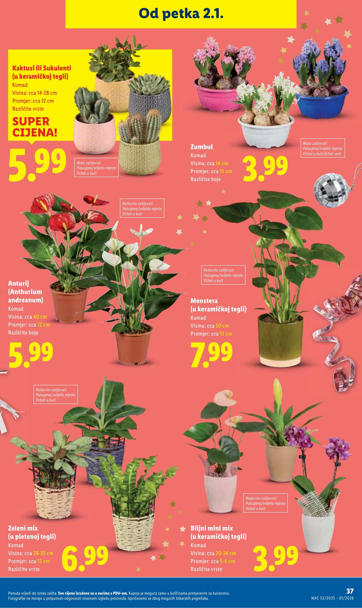Katalog Lidl 18.12.2025 - 01.01.2026
