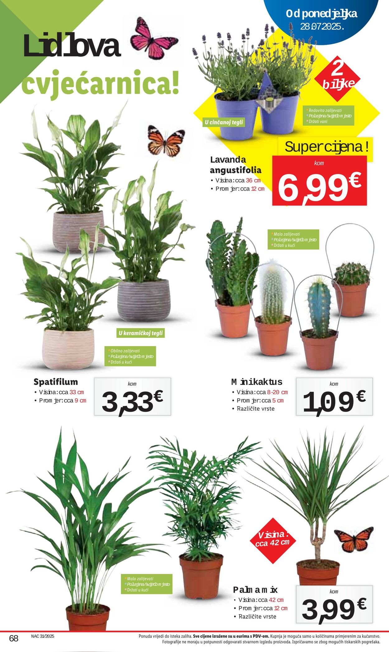 Katalog Lidl 24.07.2025 - 07.08.2025