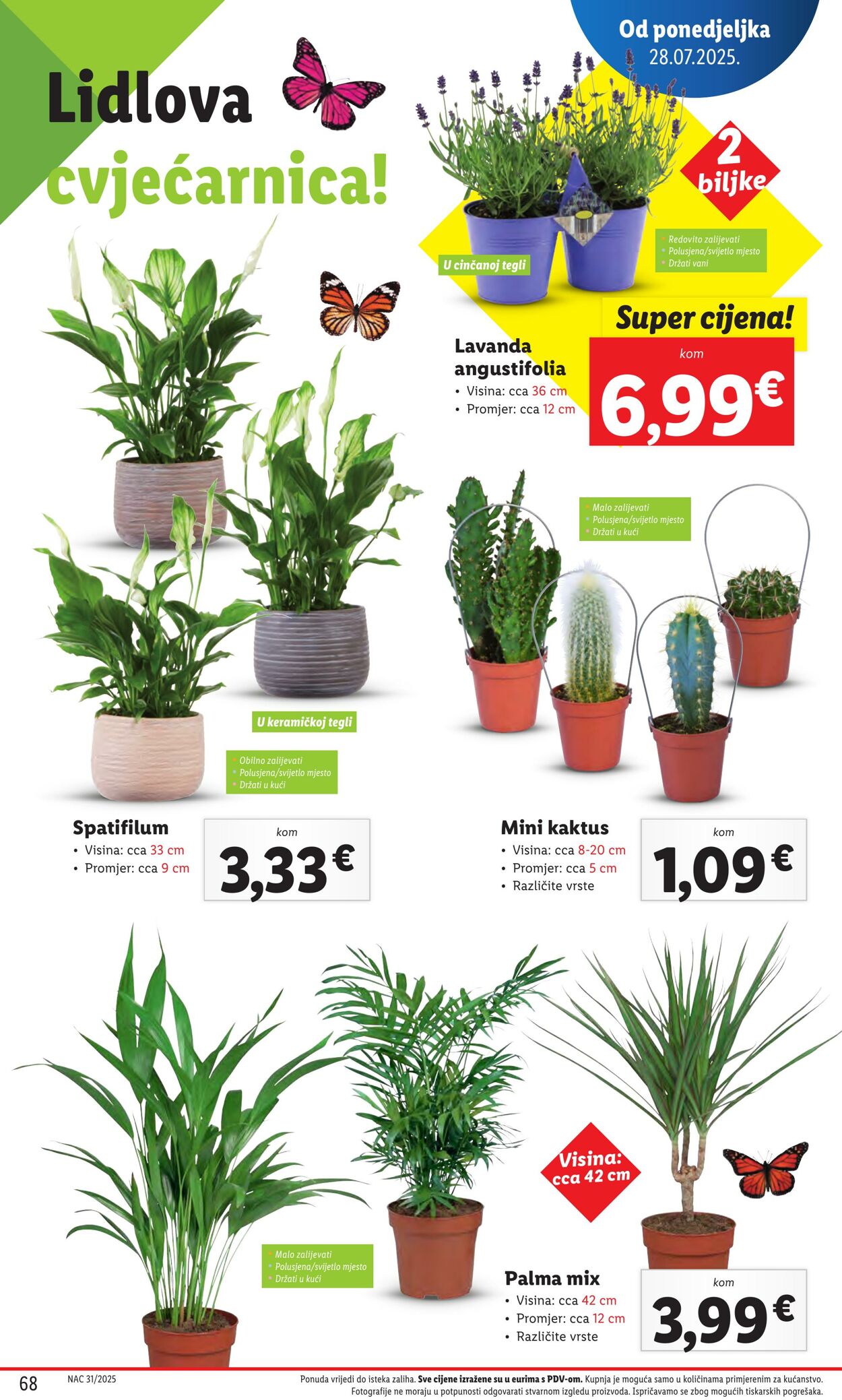 Katalog Lidl 01.08.2025 - 15.08.2025
