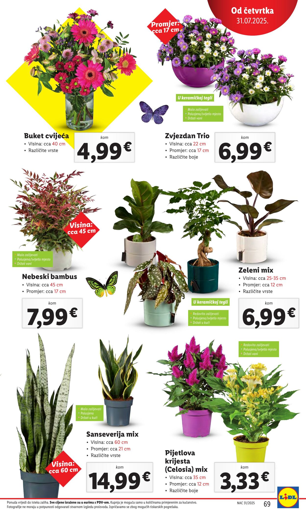 Katalog Lidl 26.07.2025 - 09.08.2025