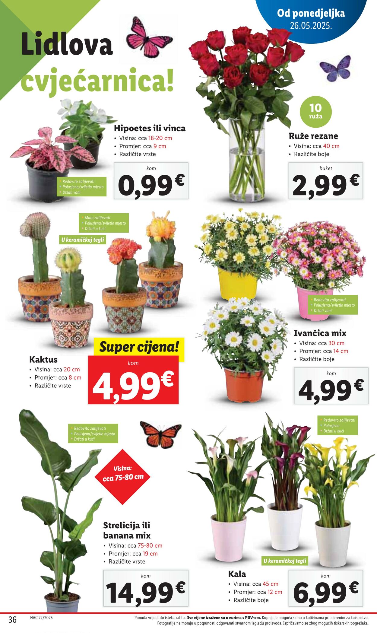 Katalog Lidl 30.05.2025 - 06.06.2025