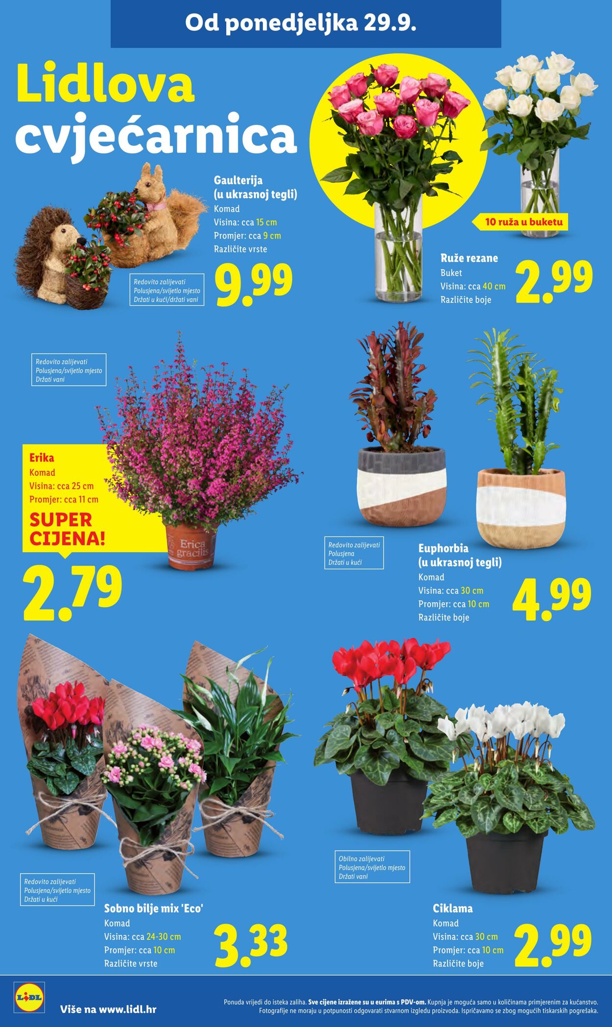 Katalog Lidl 03.10.2025 - 17.10.2025
